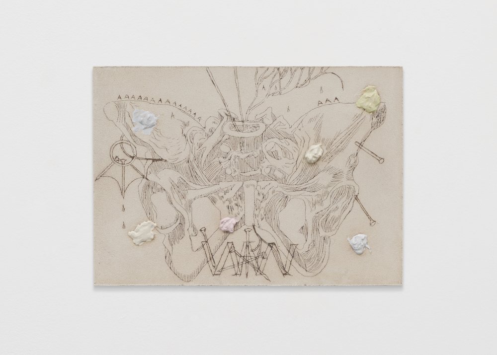 Bill Hawkins, Butterfly Pelvis, 2022, Oil on Board, 20 x 28 cm