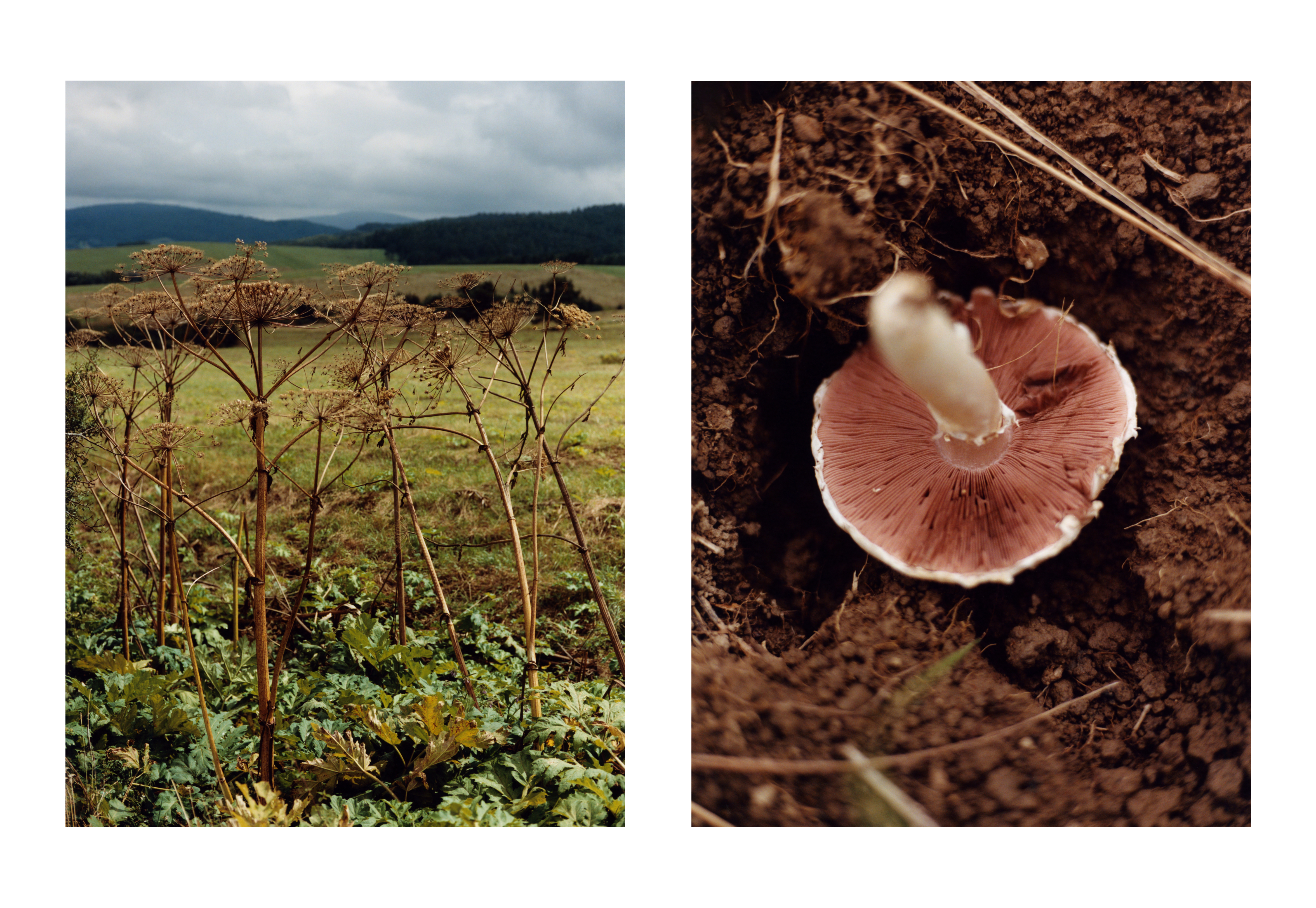 The Greatest Magazine,  3/13 