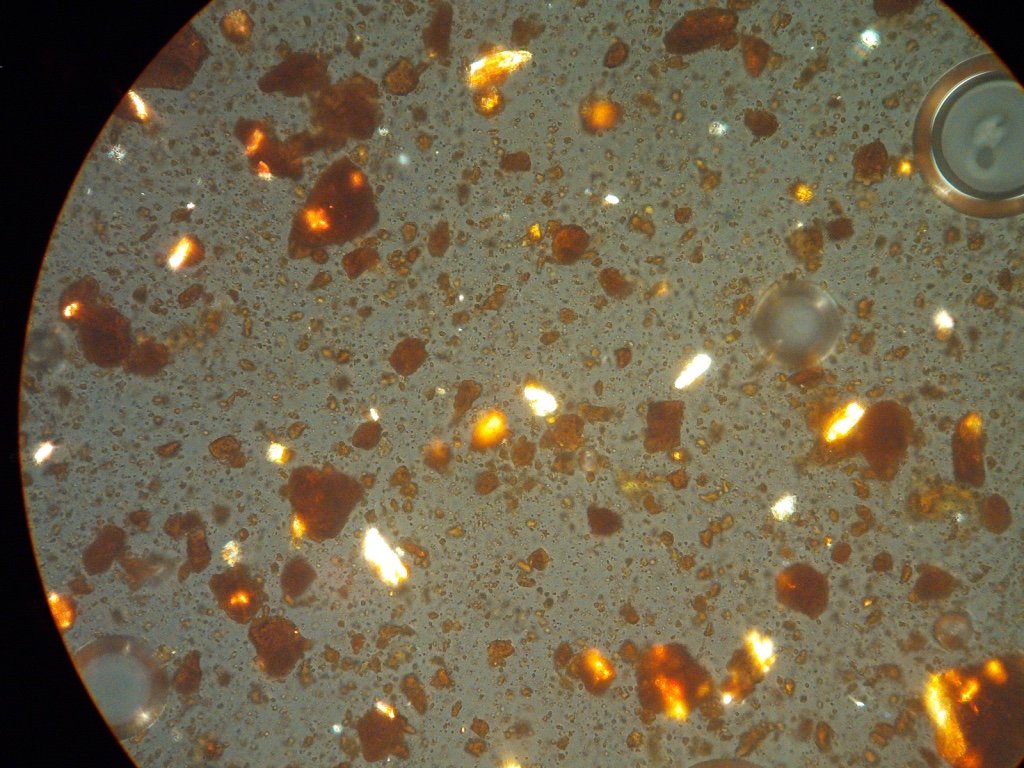 Six Bells, Ferrihydrite Digital photograph Cross-Polarised Light (XPL) x1000, Field of view 0.1 mm