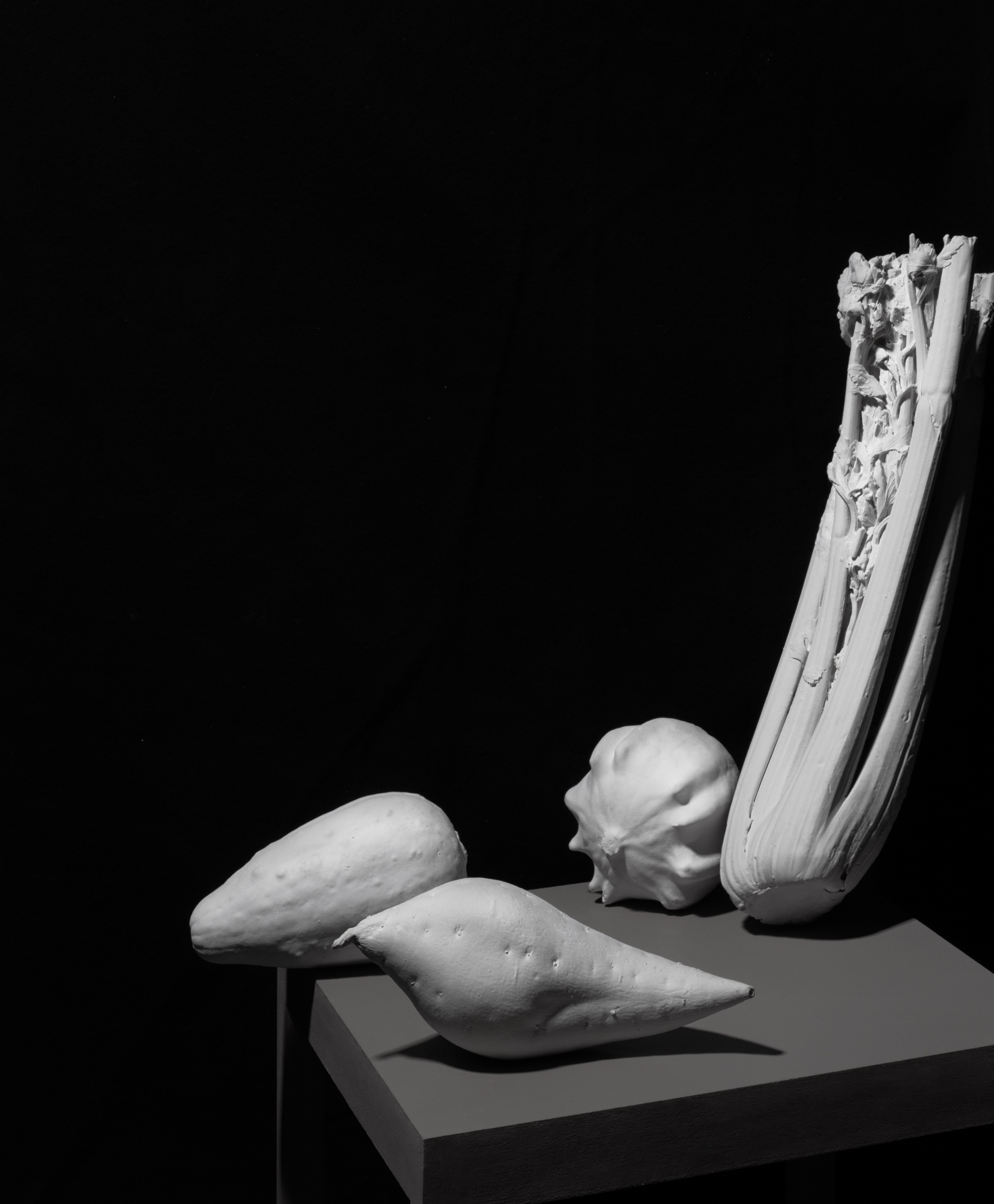 heather cleary, a fine art photograph still life of celery and gourds cast in plaster