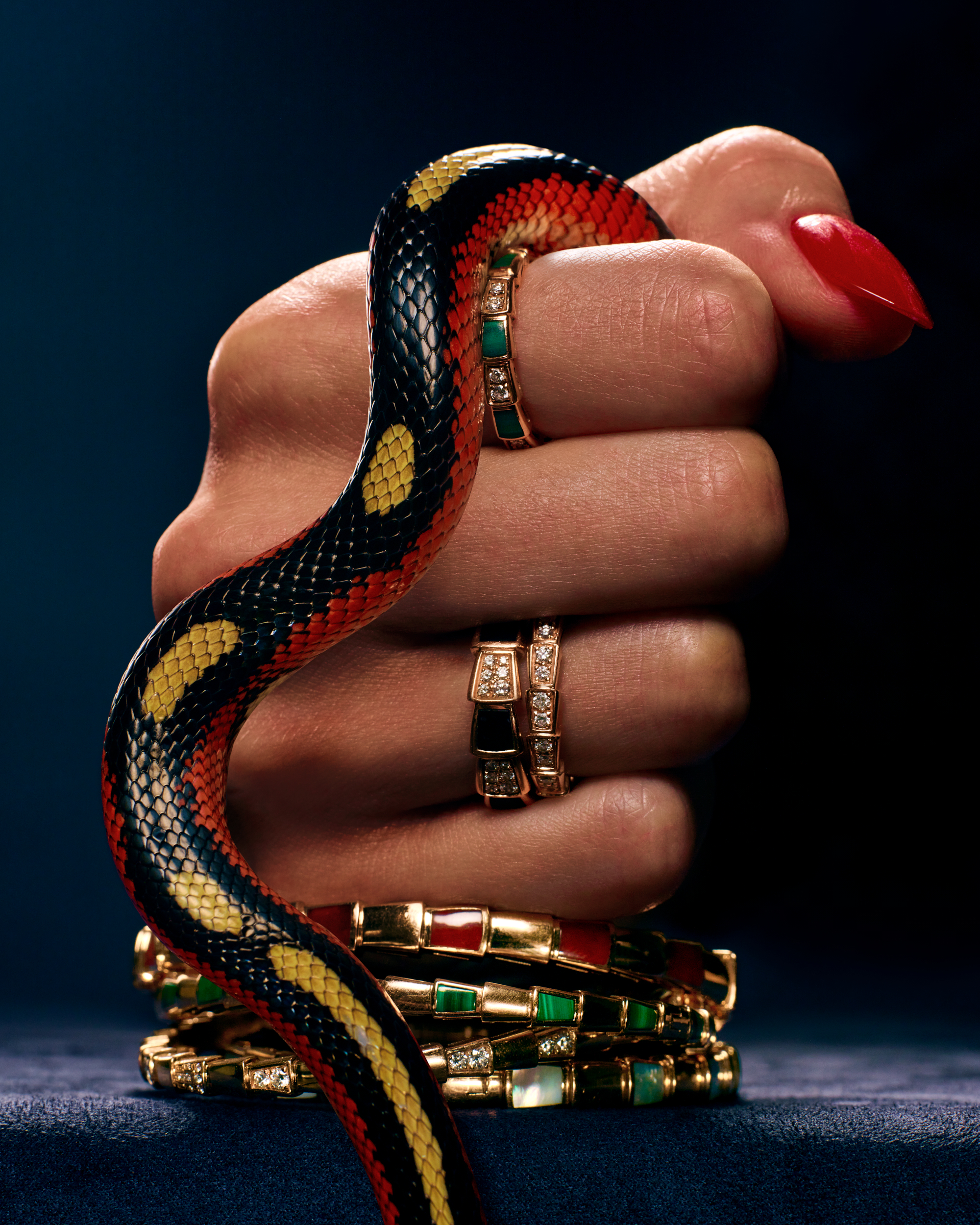 Bvlgari_serpenti.jpg