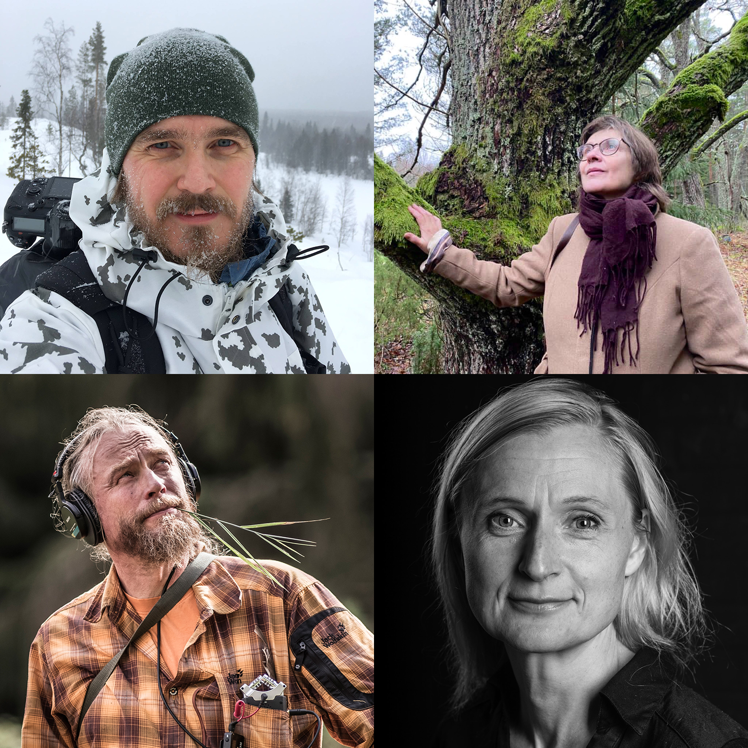 Kuvassa: Antti Haataja (kuva: Antti Haataja), Ritva Kovalainen (kuva: Mirka Muukkonen), Juha Suonpää (kuva: Antti Partanen) ja Anna-Kaisa Rastenberger (kuva: Virve Laustela).