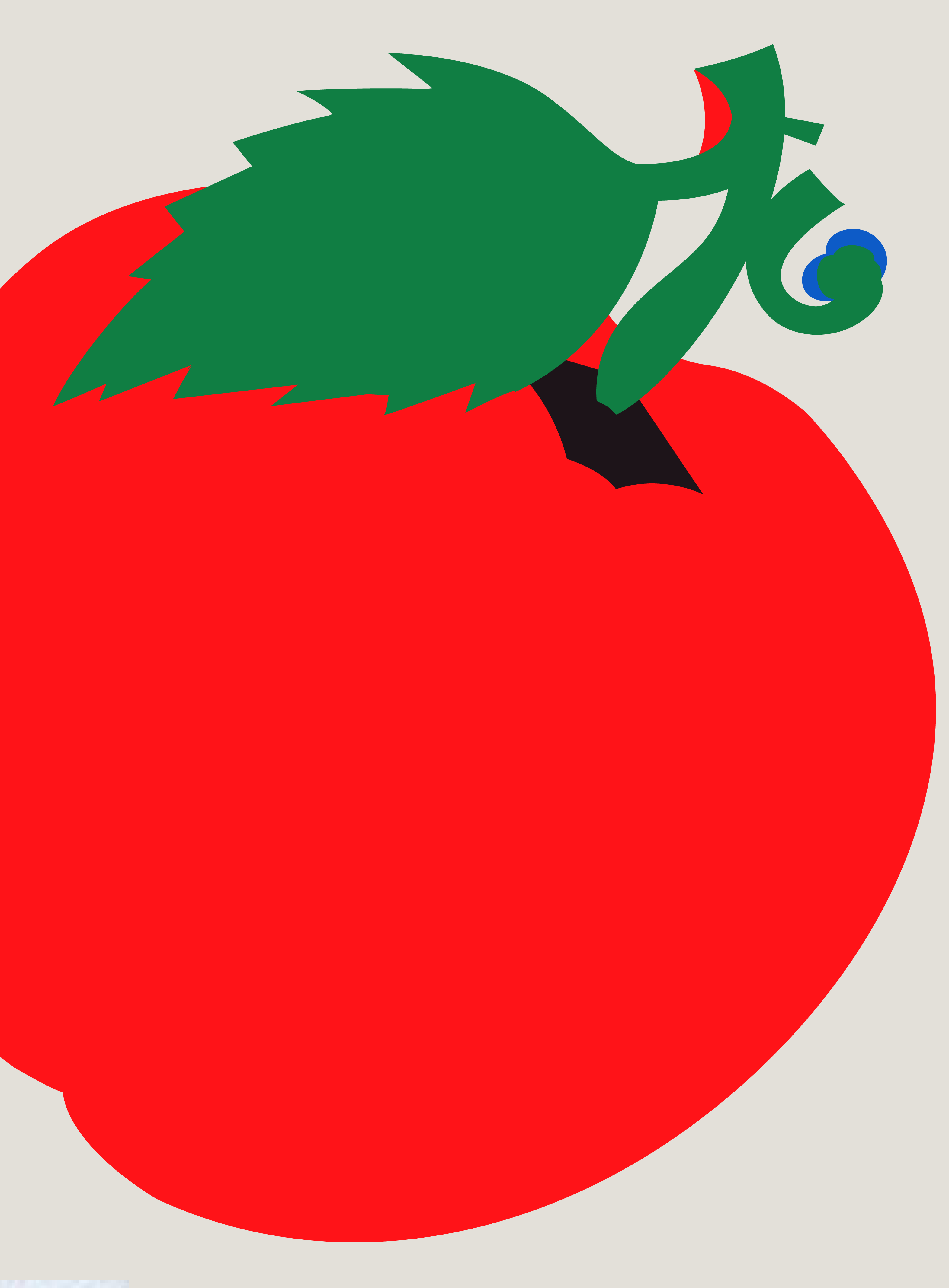 superseed branding : packaging