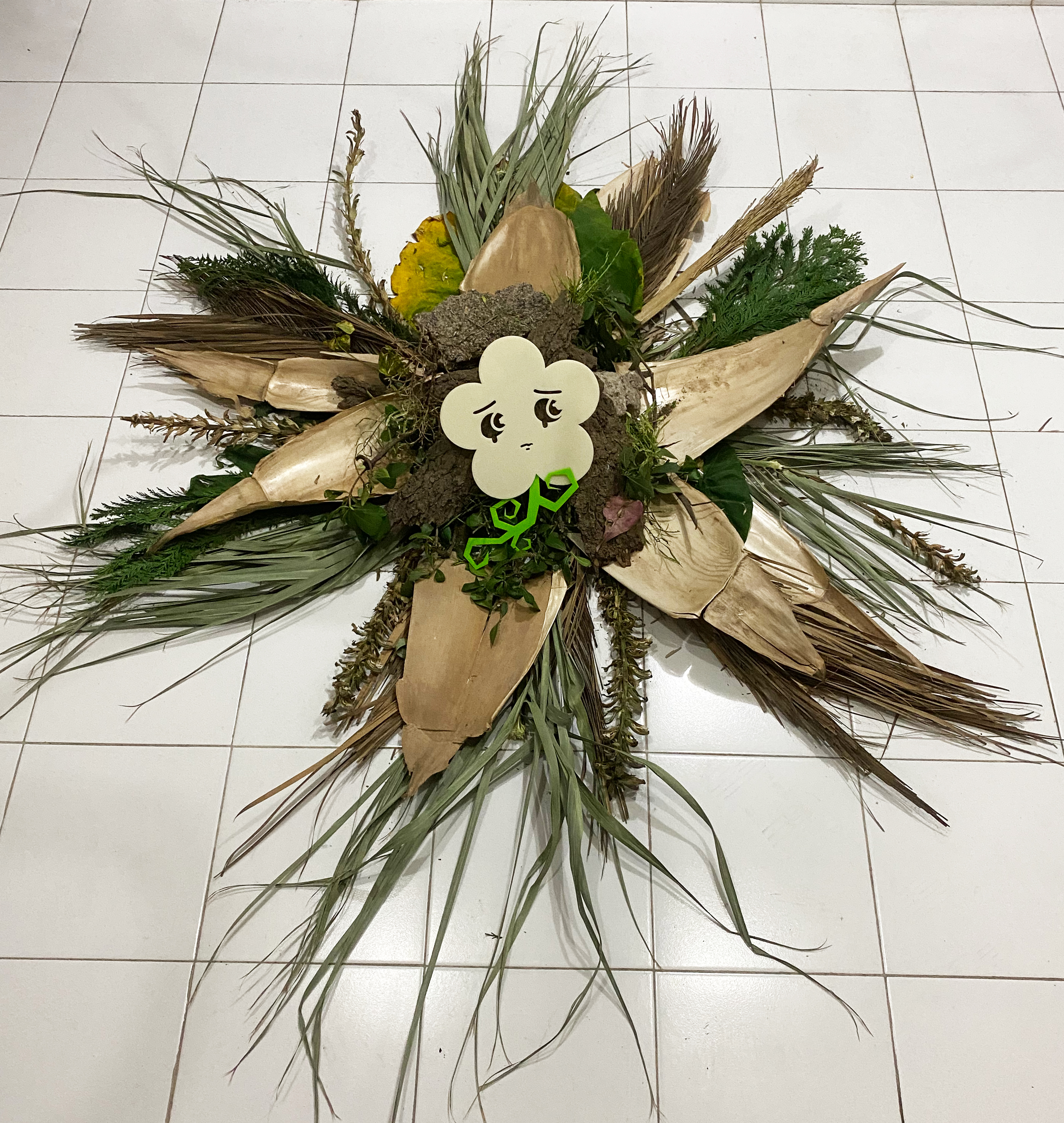 I cut flowers, they die