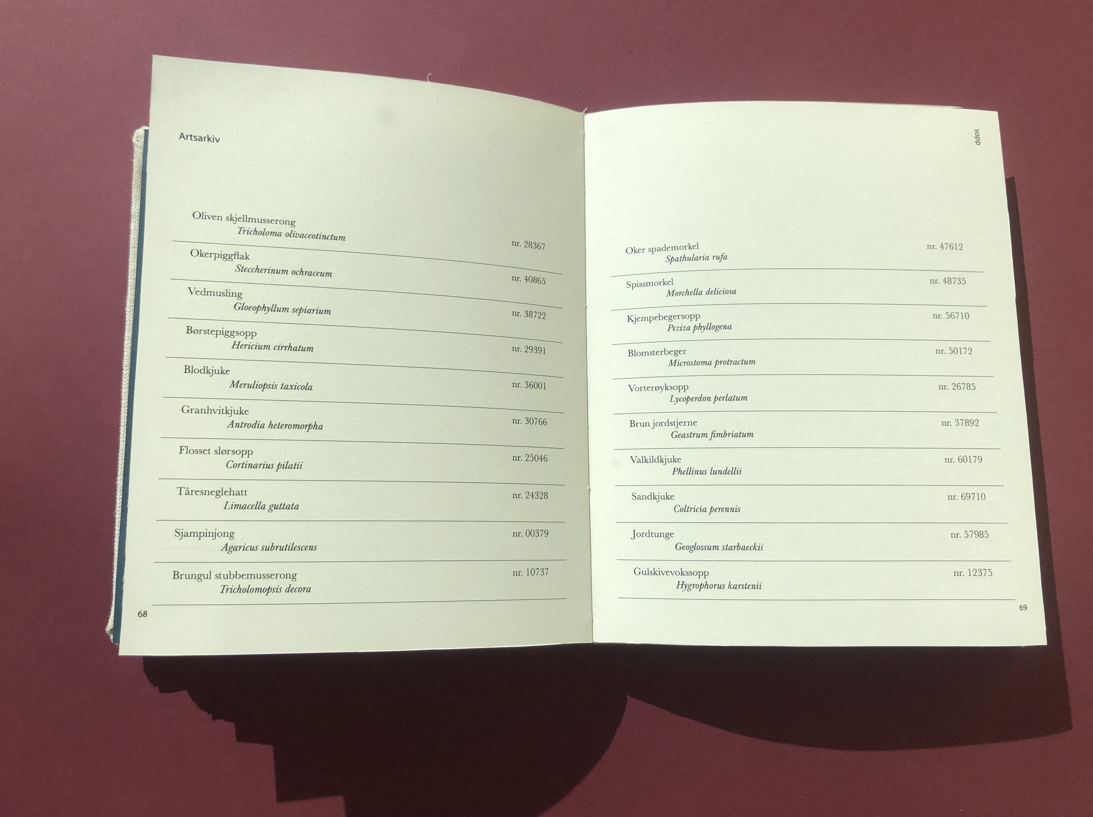 Picture, book flatlay content page