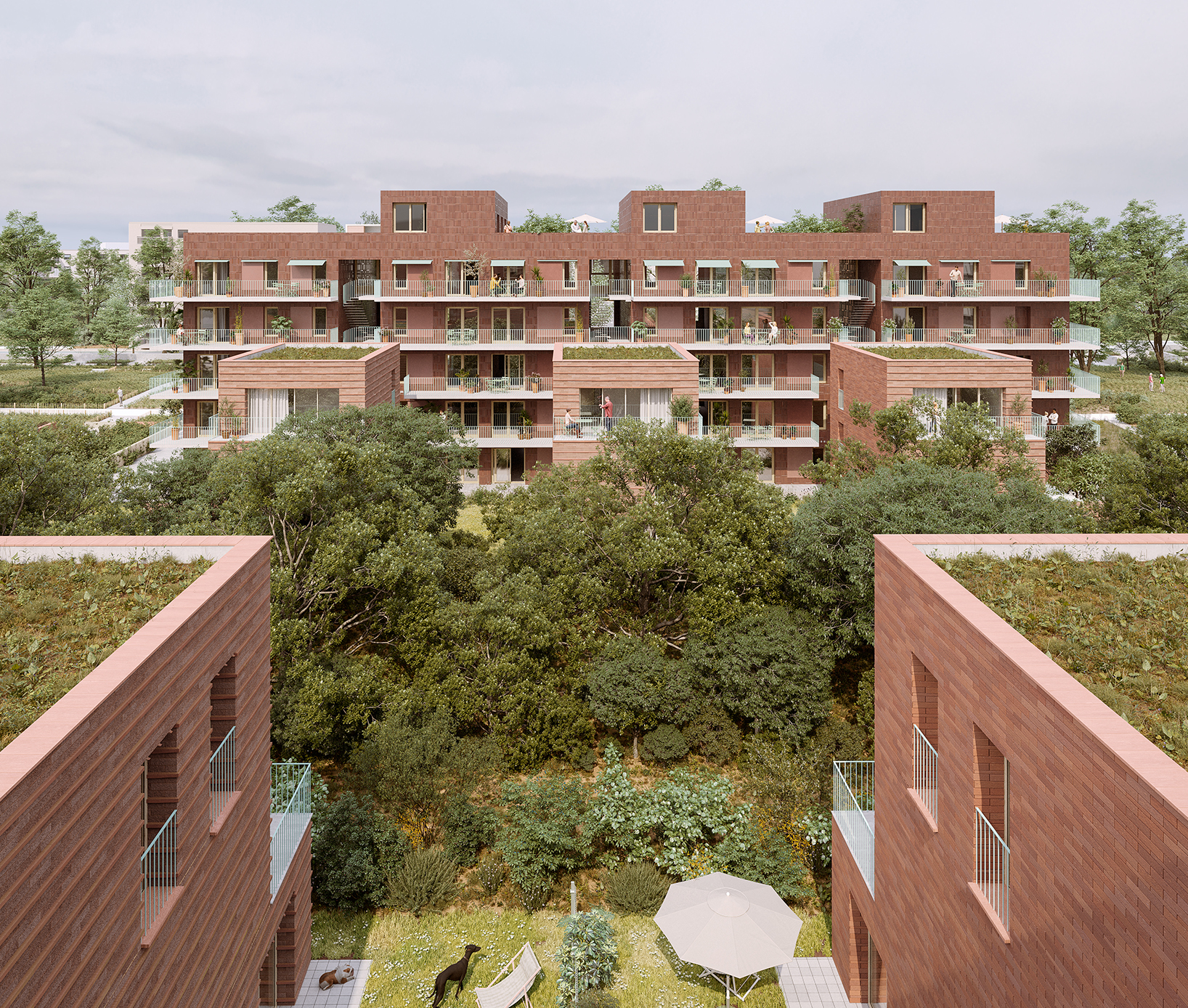 SAINT MARTIN DU TOUCH Toulouse - 79 logements - competition entry 