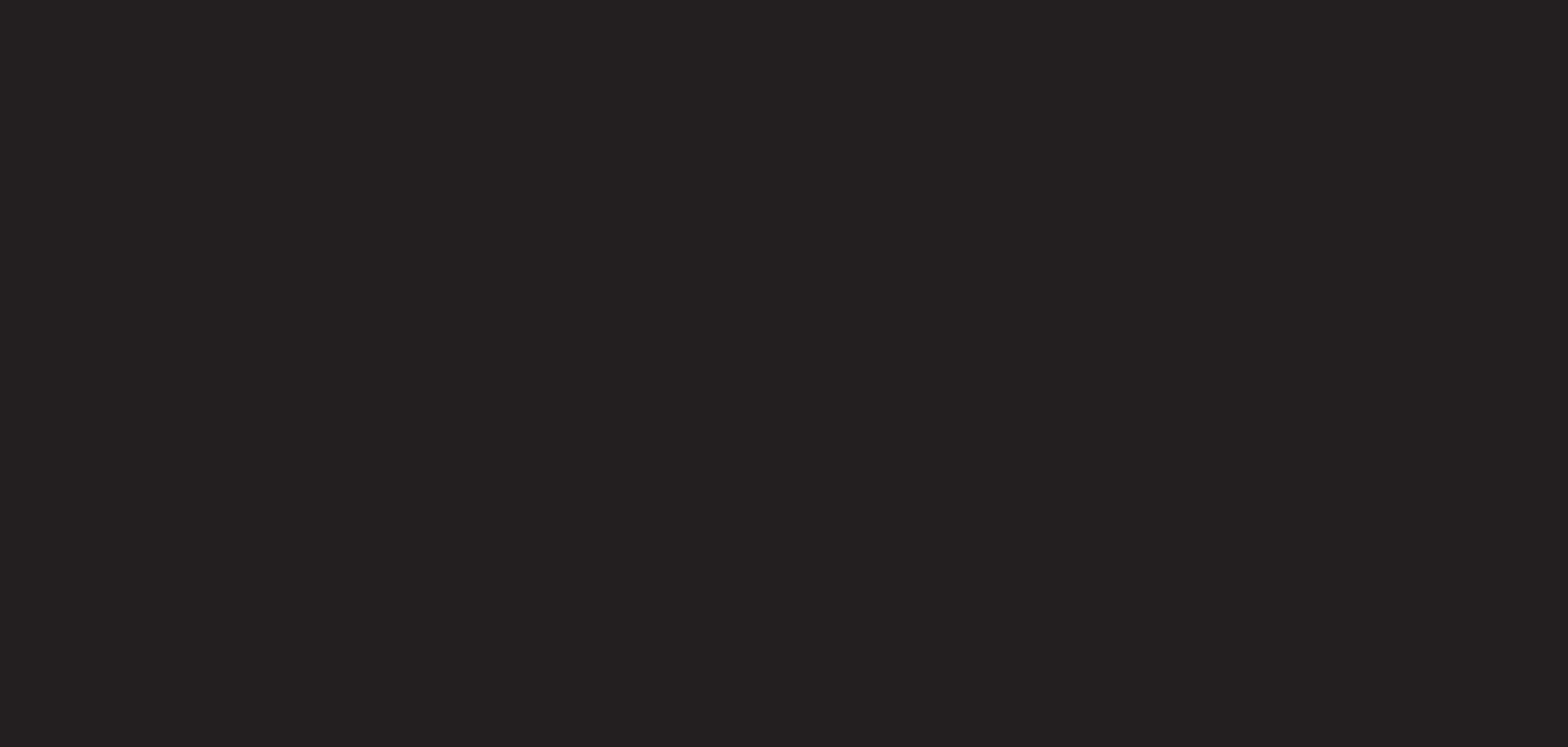 Two Blind Brothers—Logo Construction, 2017