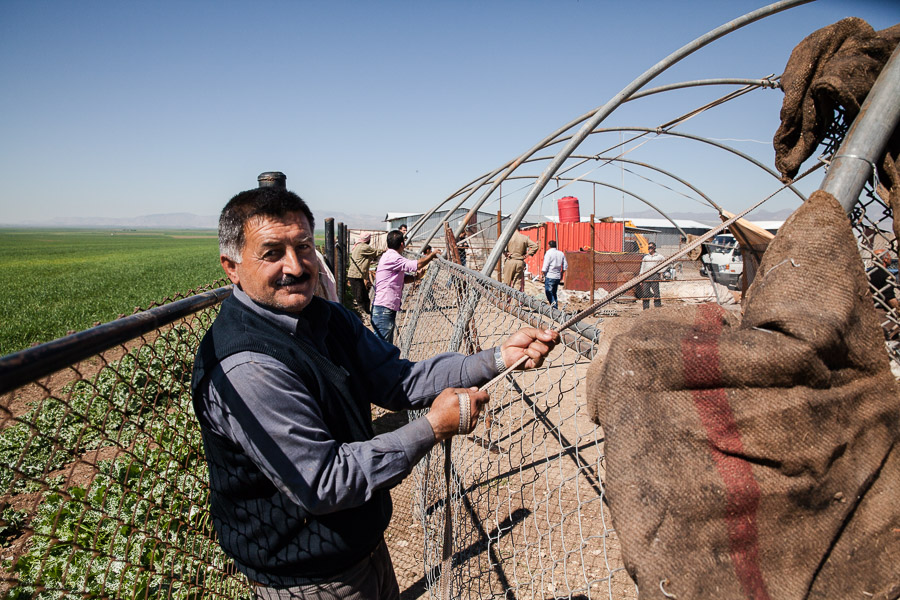 R&eacute;gion de Derik. Des exp&eacute;riences de culture de l&eacute;gumes en serre et de fonctionnement coop&eacute;ratif sont men&eacute;es, comme cette coop&eacute;rative agricole et laiti&egrave;re. Les d&eacute;buts de son fonctionnement sont prometteurs. Le but est d'&ecirc;tre auto-suffisant alimentairement.