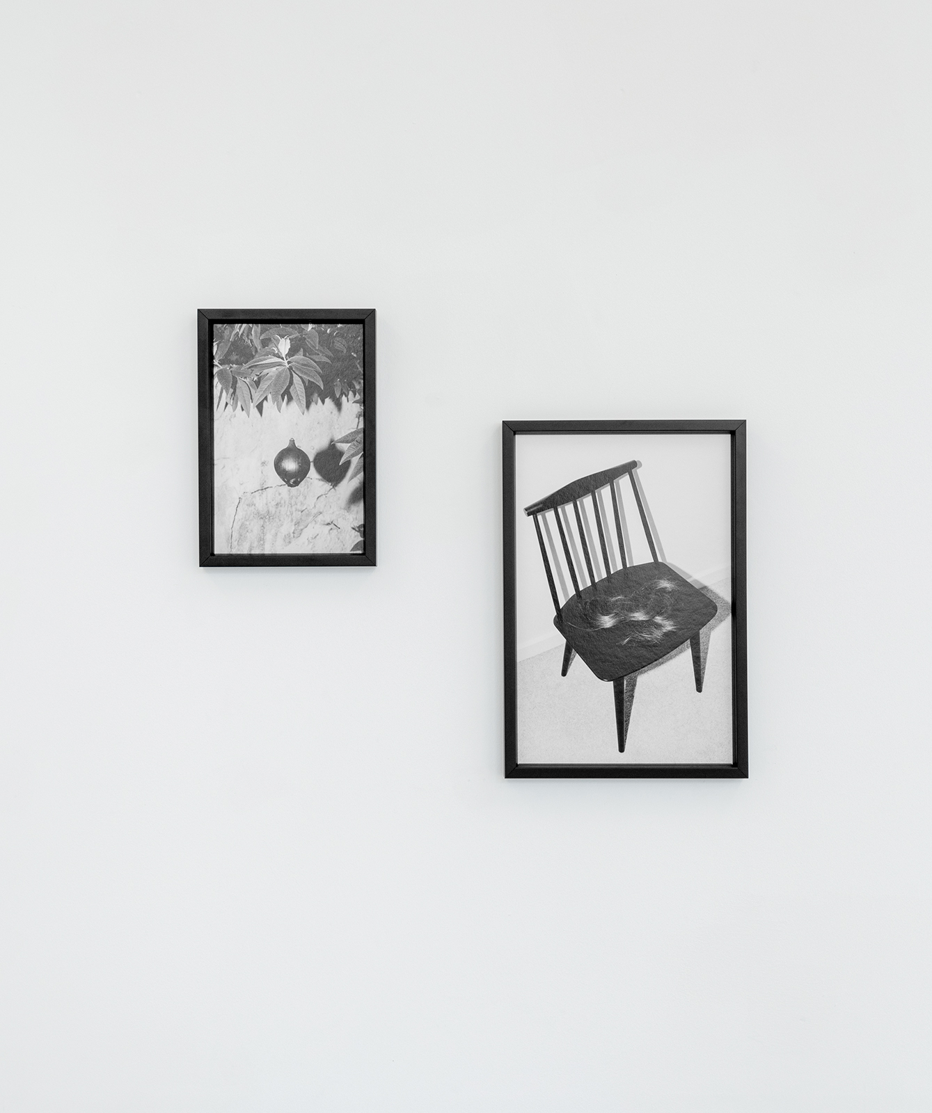 From left to right: The Onion Tree (2020) 30x20cm; Portrait of Loreal (2020). Archival inkjet prints on baryta, mounted in lime wood frame, 34x24cm, 46x34cm.
