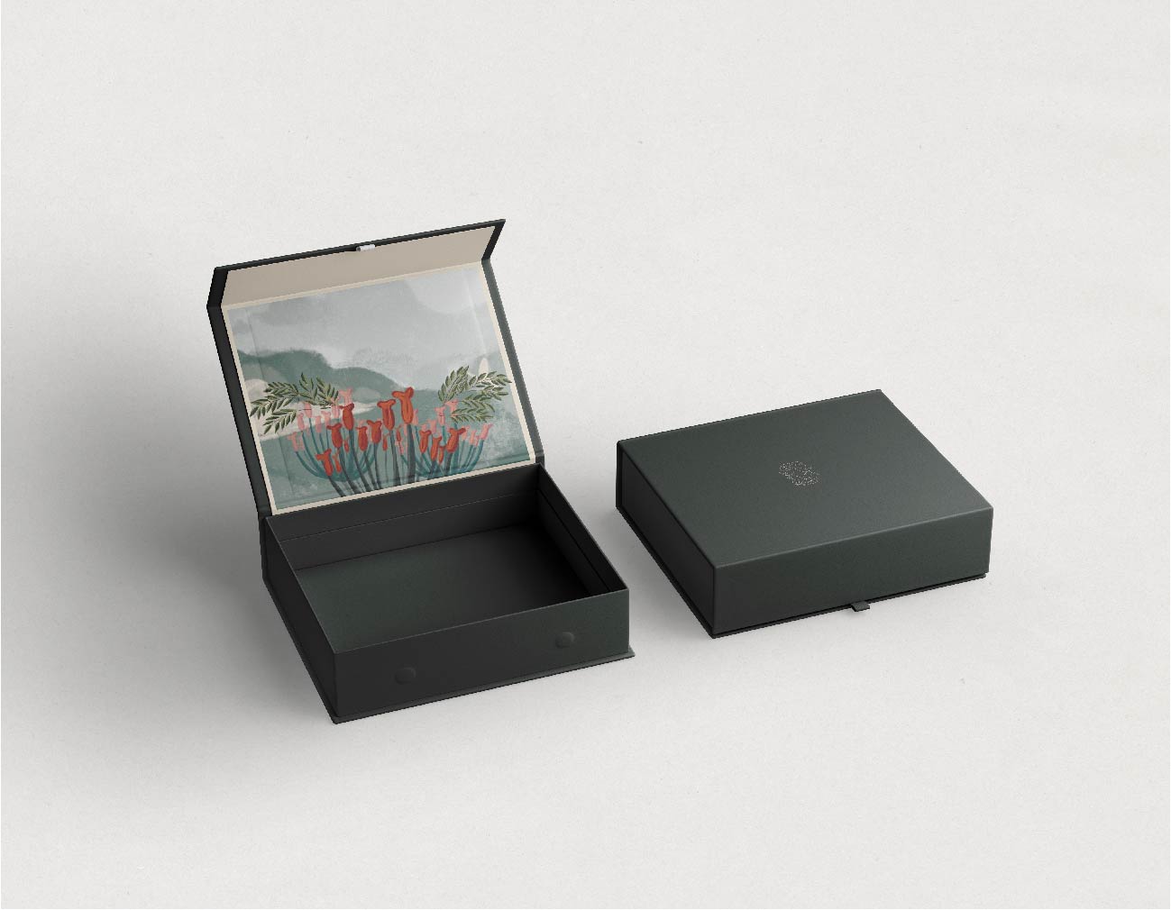 Lush illustrations— an unpredictable revelation on opening the gift box