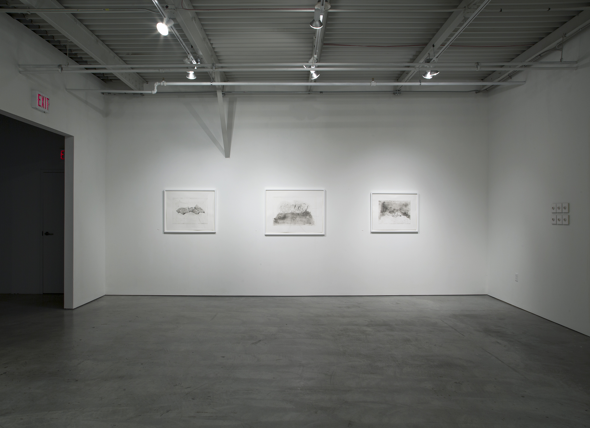 For One, In A Shared Room, 2017, MFA thesis exhibition at Haw Contemporary, Kansas City, MO (photo by Brian Hawkins)