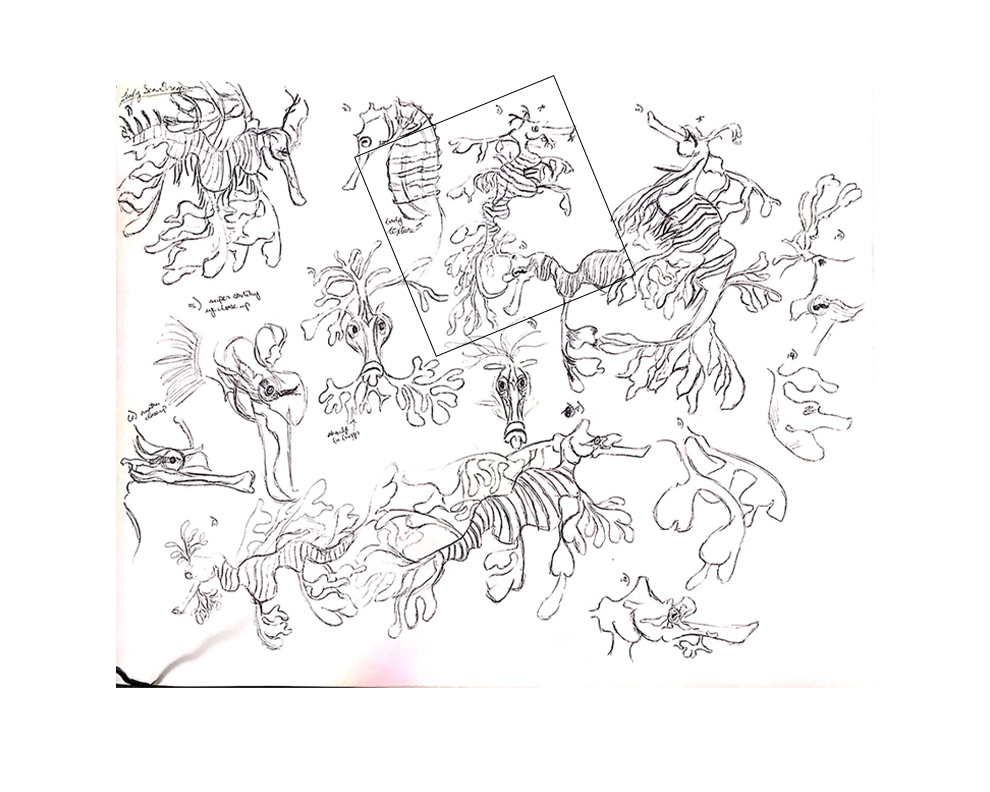 Leafy Seadragon Pose Selection