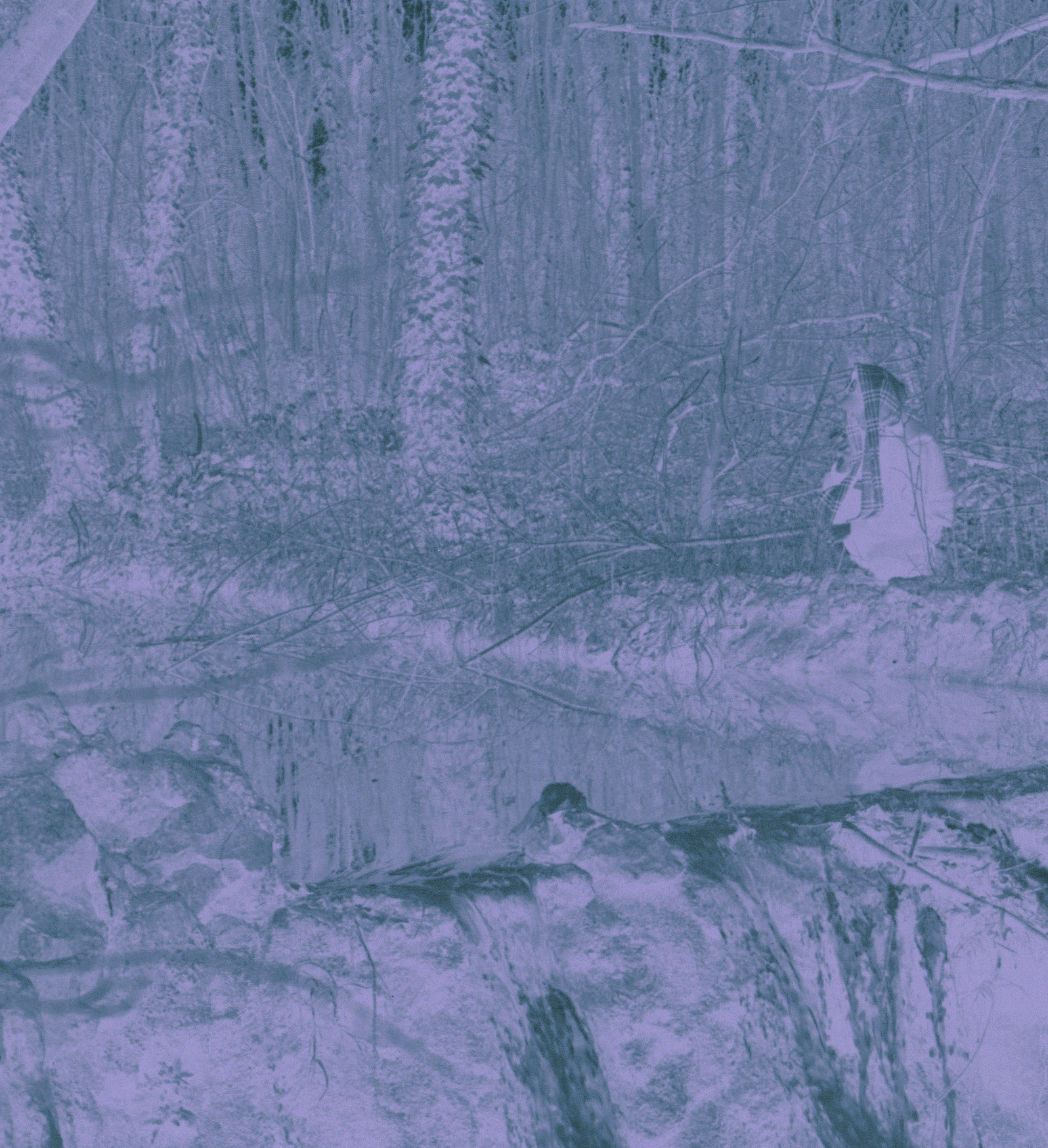 Walk with Sad Madona, 2024