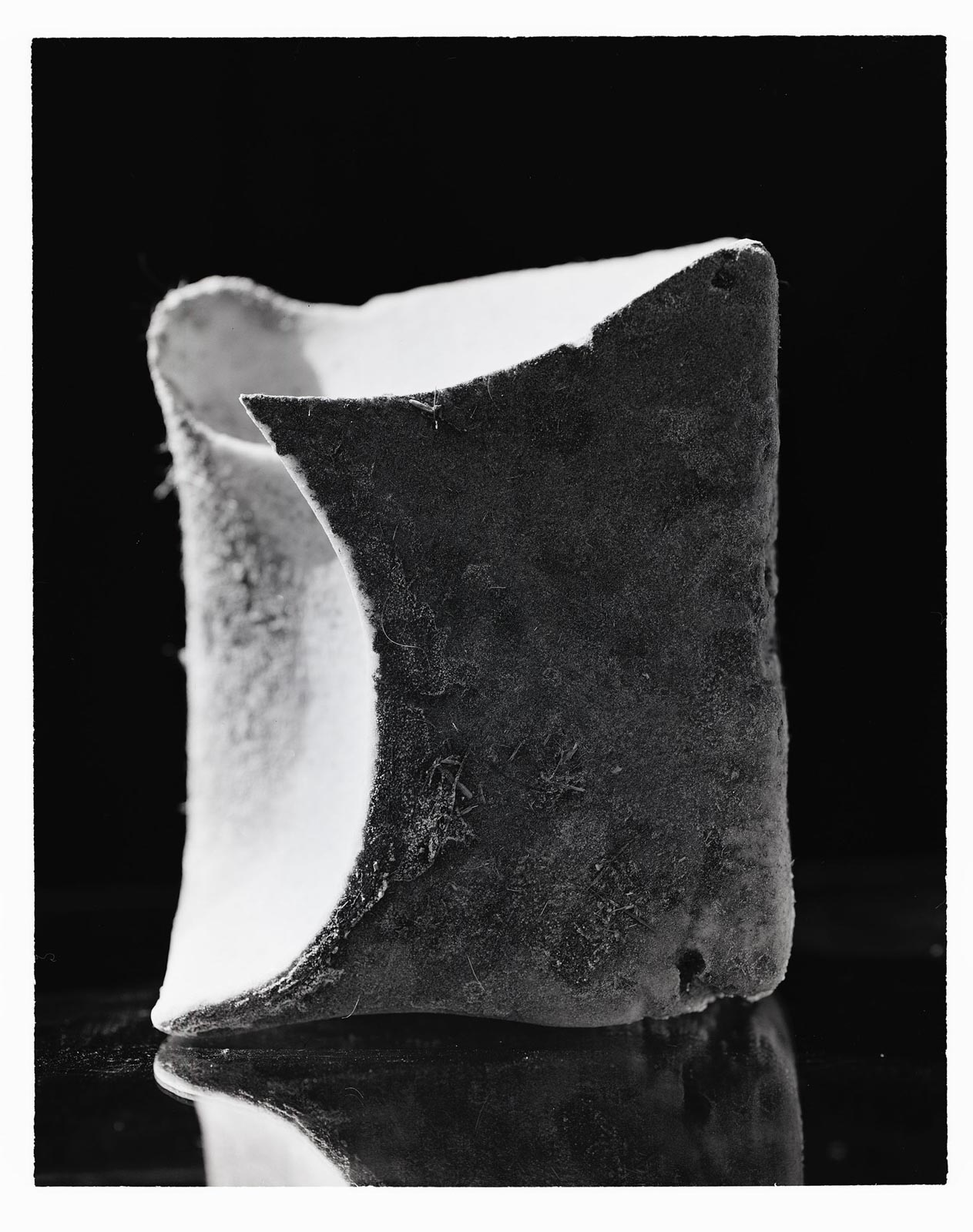 Salt lick shaped by breeding bull, 2022.