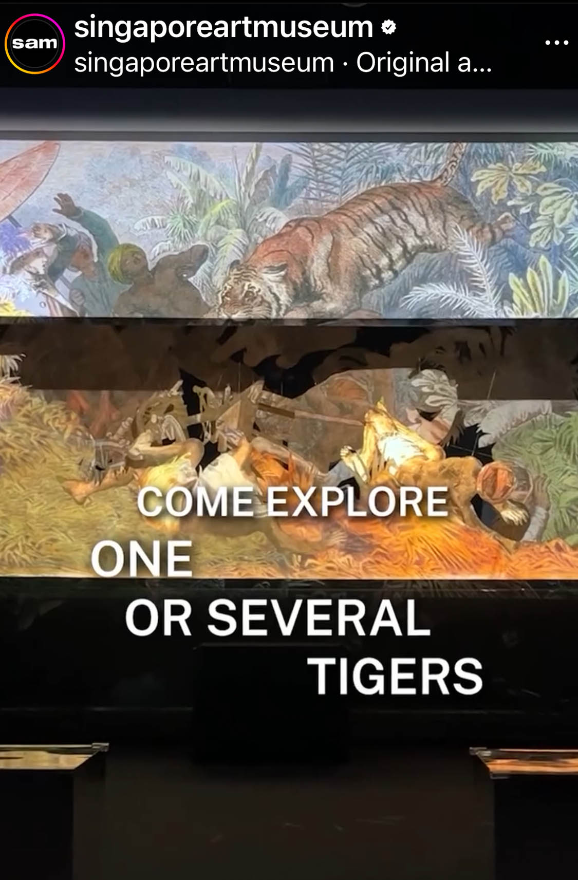 𝘖𝘯𝘦 𝘰𝘳 𝘚𝘦𝘷𝘦𝘳𝘢𝘭 𝘛𝘪𝘨𝘦𝘳𝘴