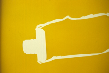 Photogram 1997, unique color coupler print, 20”x16”