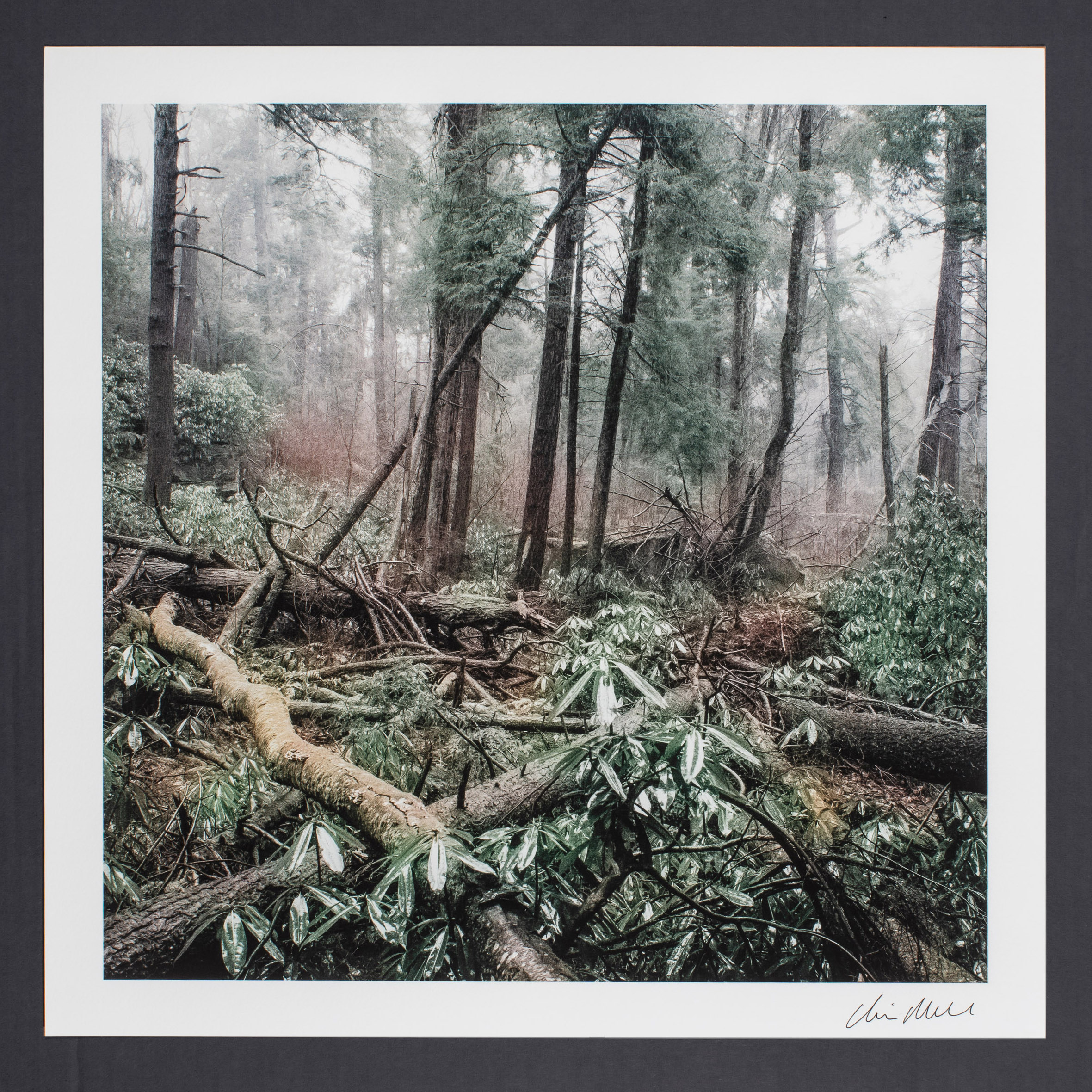 Synodic Period // 15" x 15" + 1" paper border