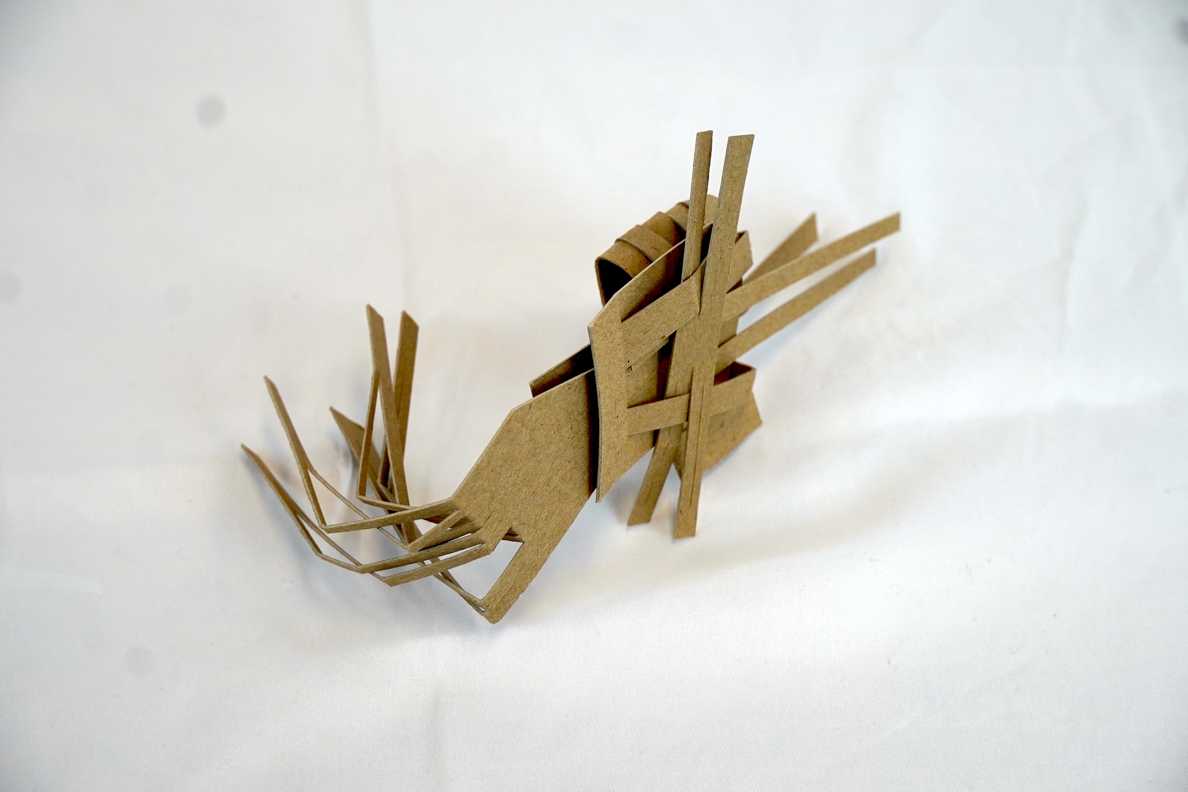 An image showcasing a chipboard form model.