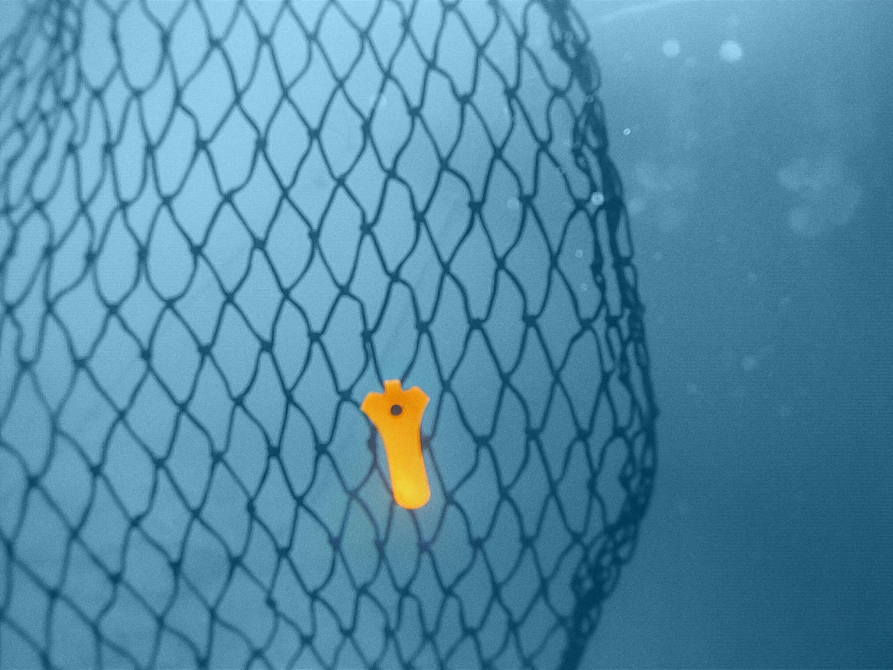 Remora Sustainable Fishing Net