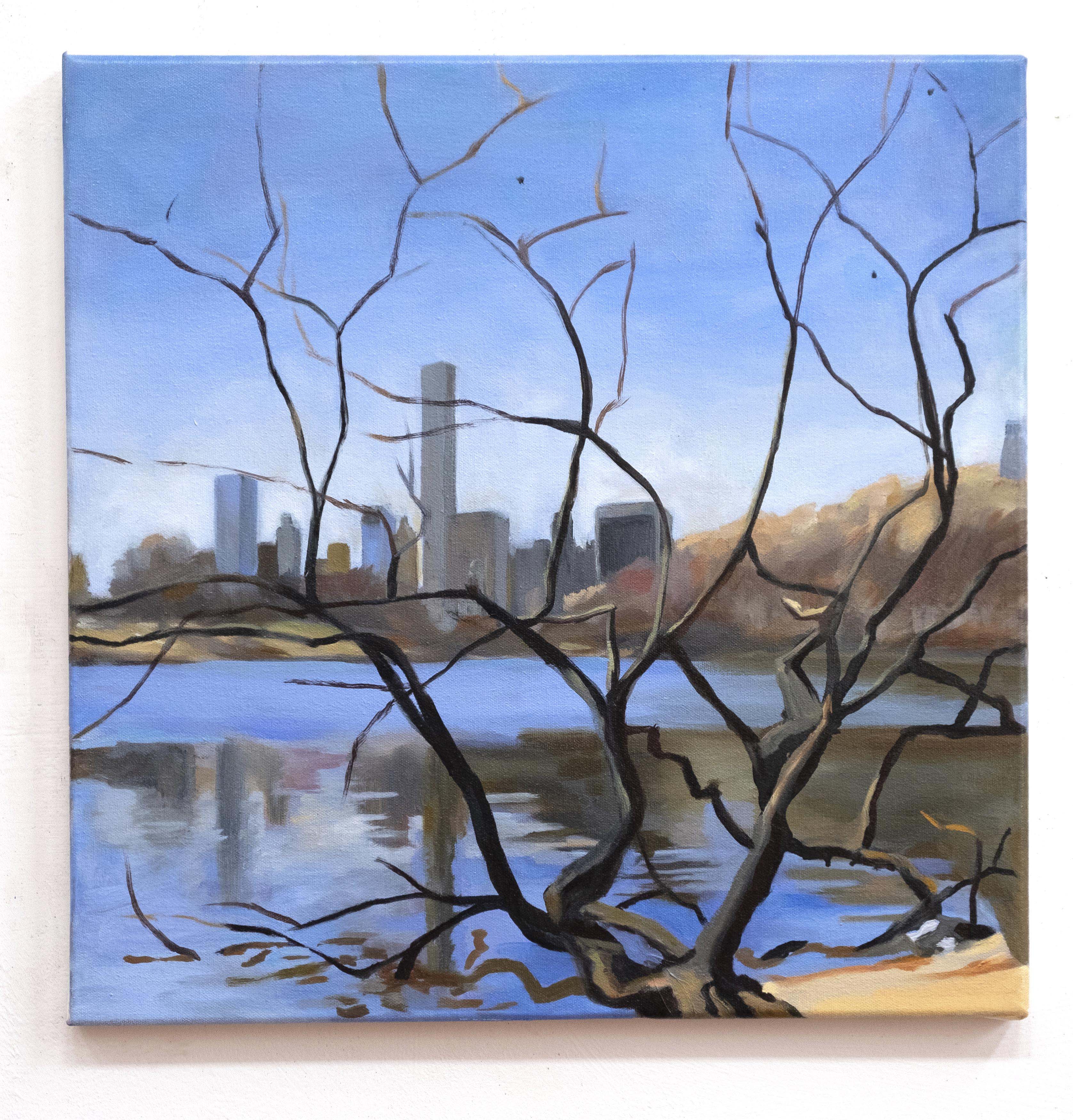 Lake, Central Park, oil on canvas, 18 x 18 inches, 2015 (private collection)