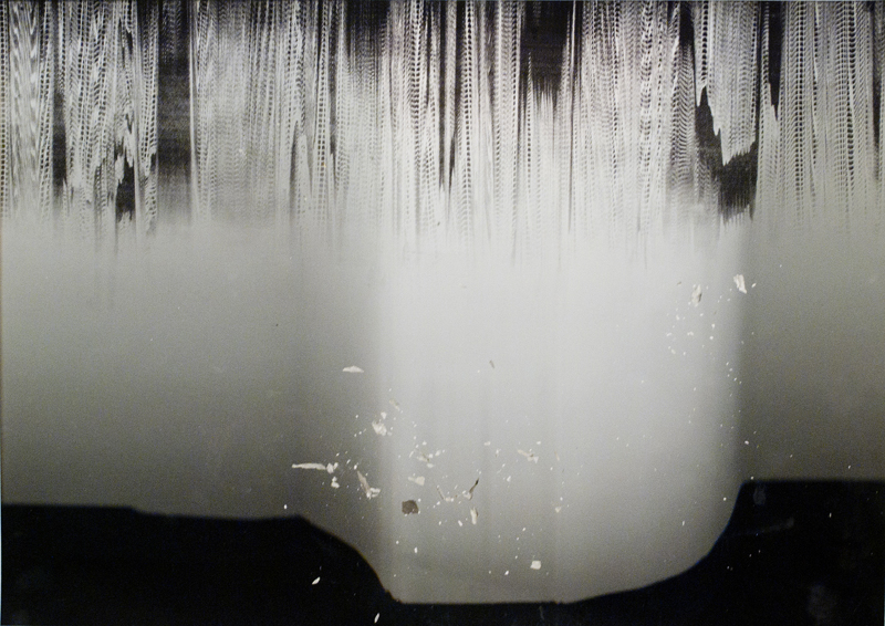  Lumini (For Us) | 40 x 28 in | inkjet and silkscreen | 2012