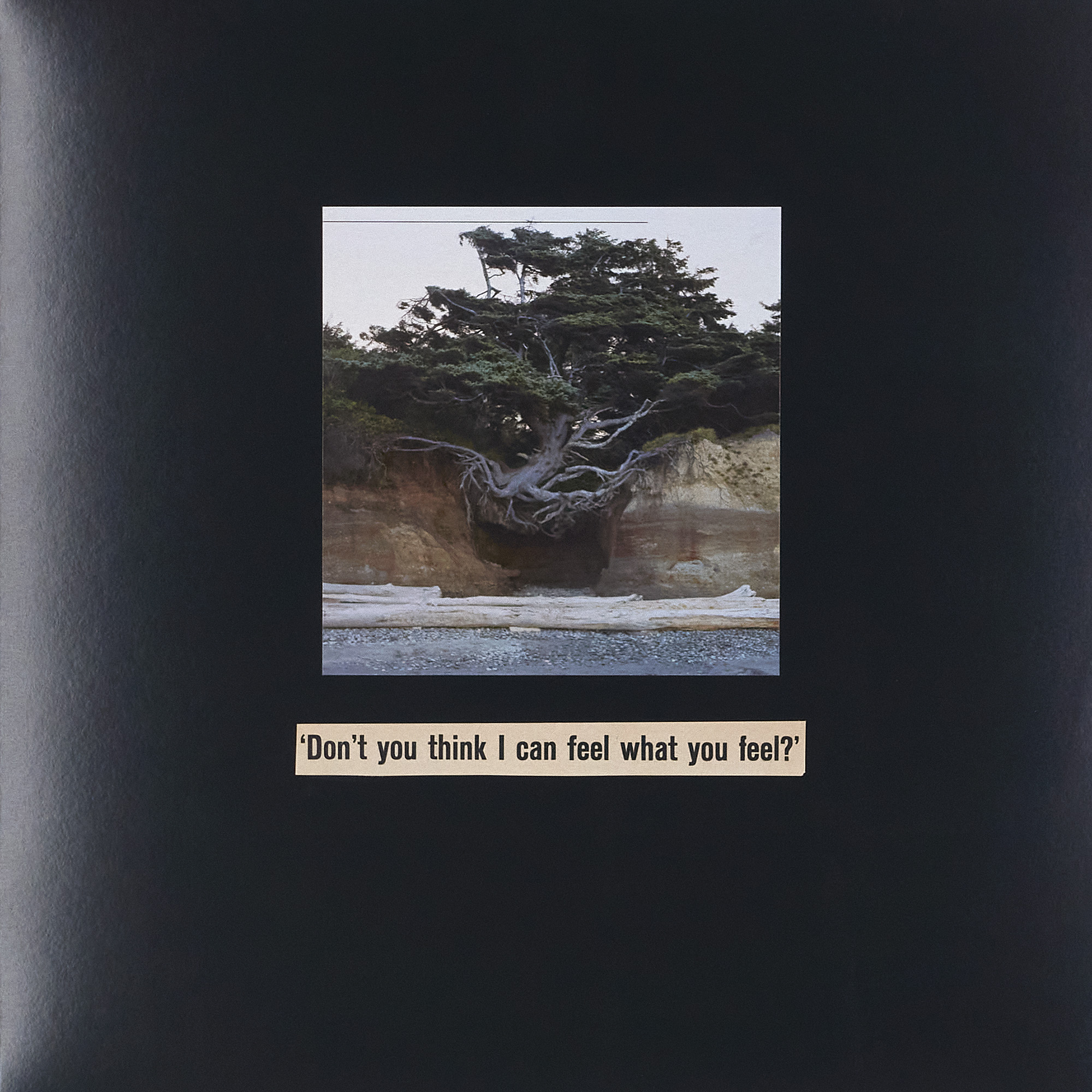 (2024) 12.25" x 12.25"