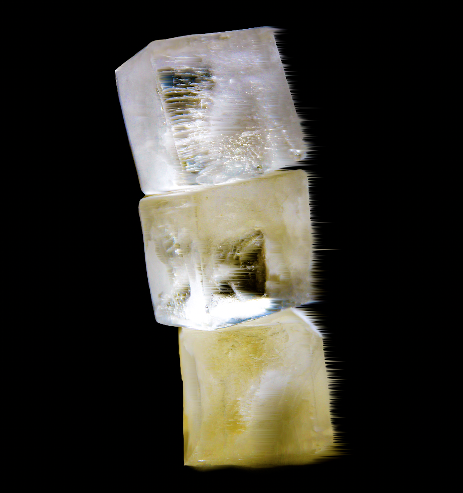 Scent series [2021] documented by Constantine Virtanen