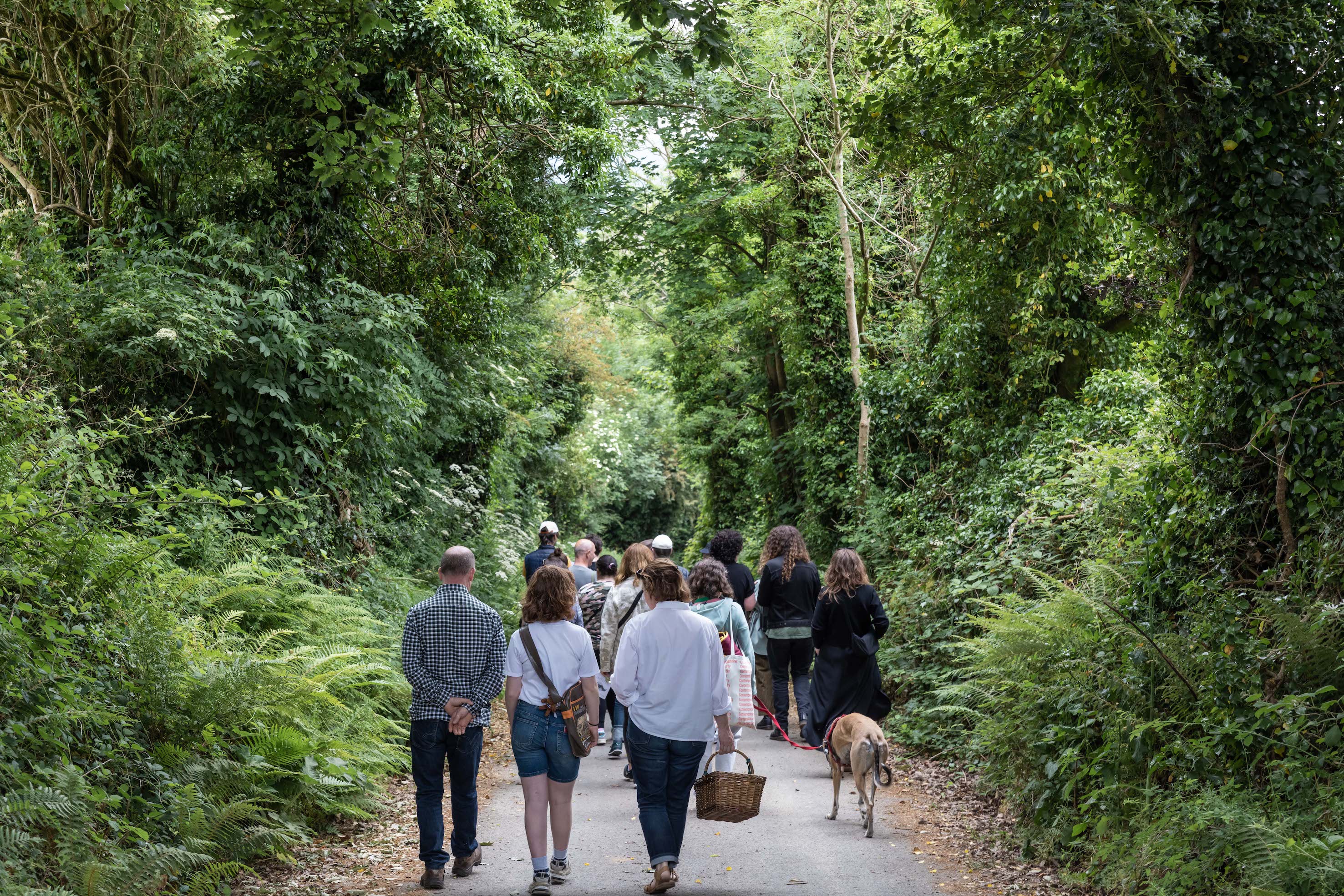 SUPPOSE A STONE: Accessibility Study