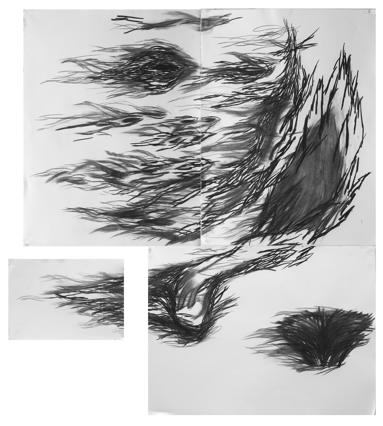 사소한 뿔trivial horn_charcoal on paper_Variable installation_2014
