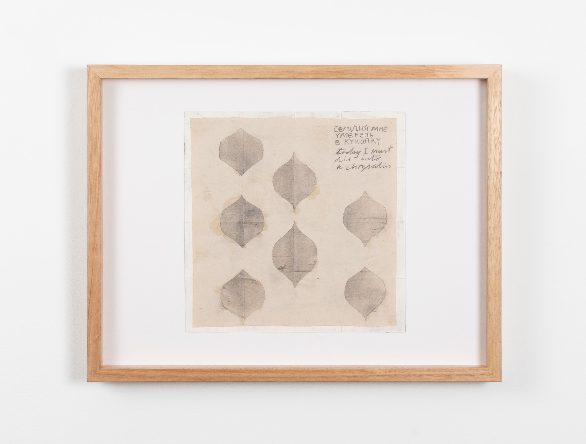 Chrysalis, 2021, Graphite powder and pencil on newsprint, 37.5 x 29 x 4.2 cm