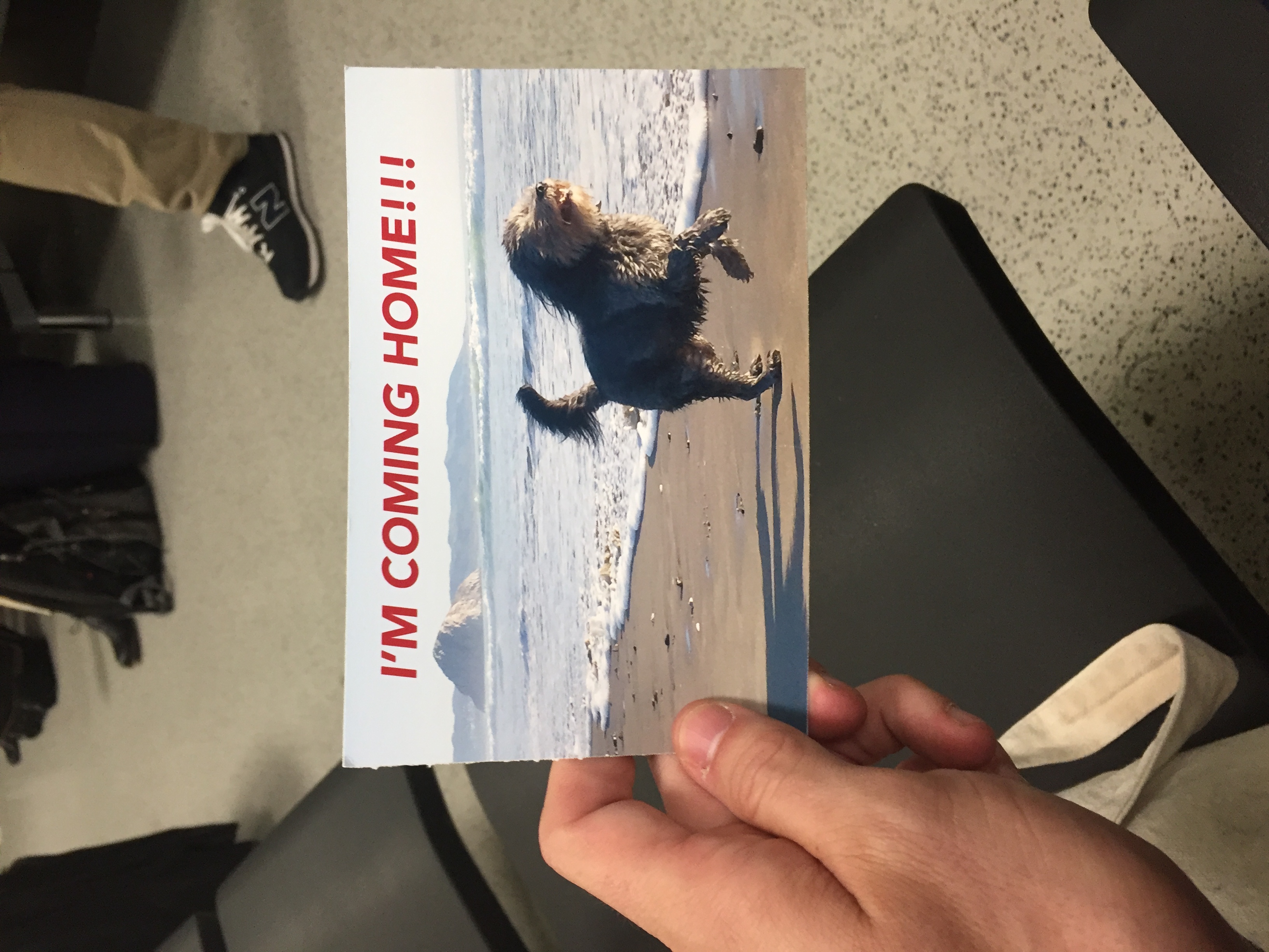 I left this card at the gate as my flight left Heathrow airport on its way back to Los Angeles. I was very excited to see my dog. 