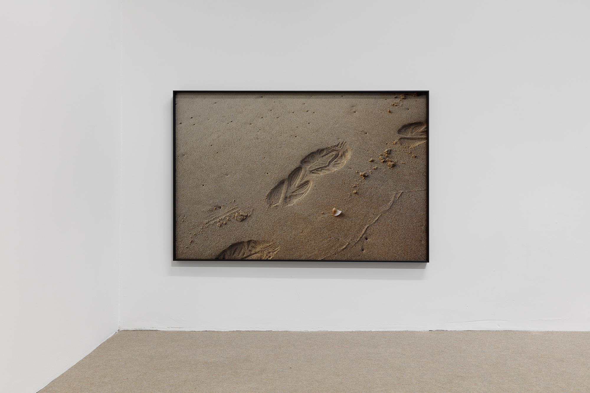 João Bragança Gil, What's Left Behind (2021)
