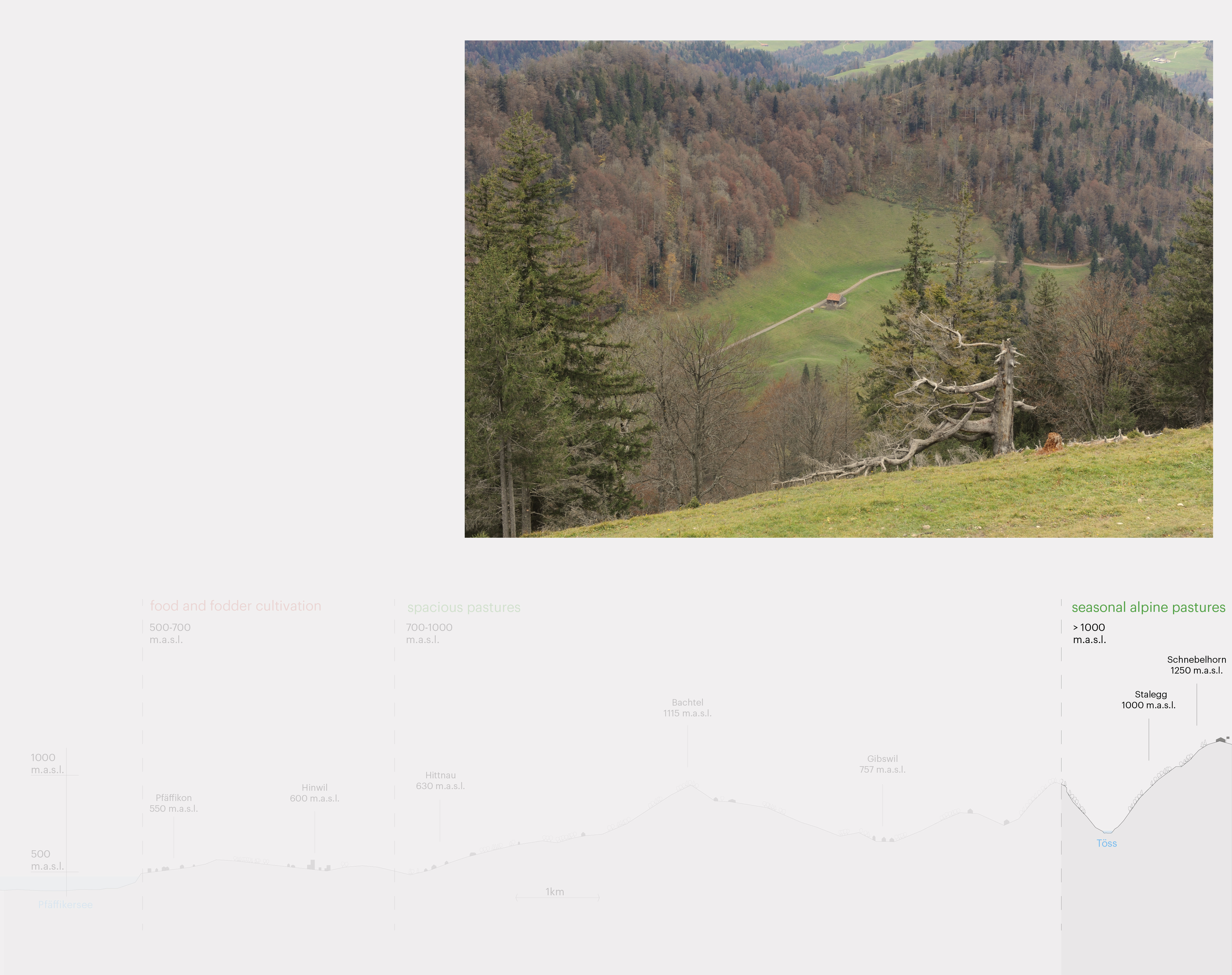 "Bergland"