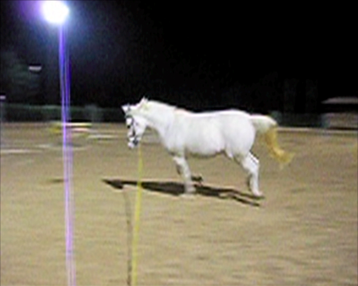 Trabajar o Caballo describiendo un círculo, 2009 [still]Single-channel video projection, color, silent8 sec. loop