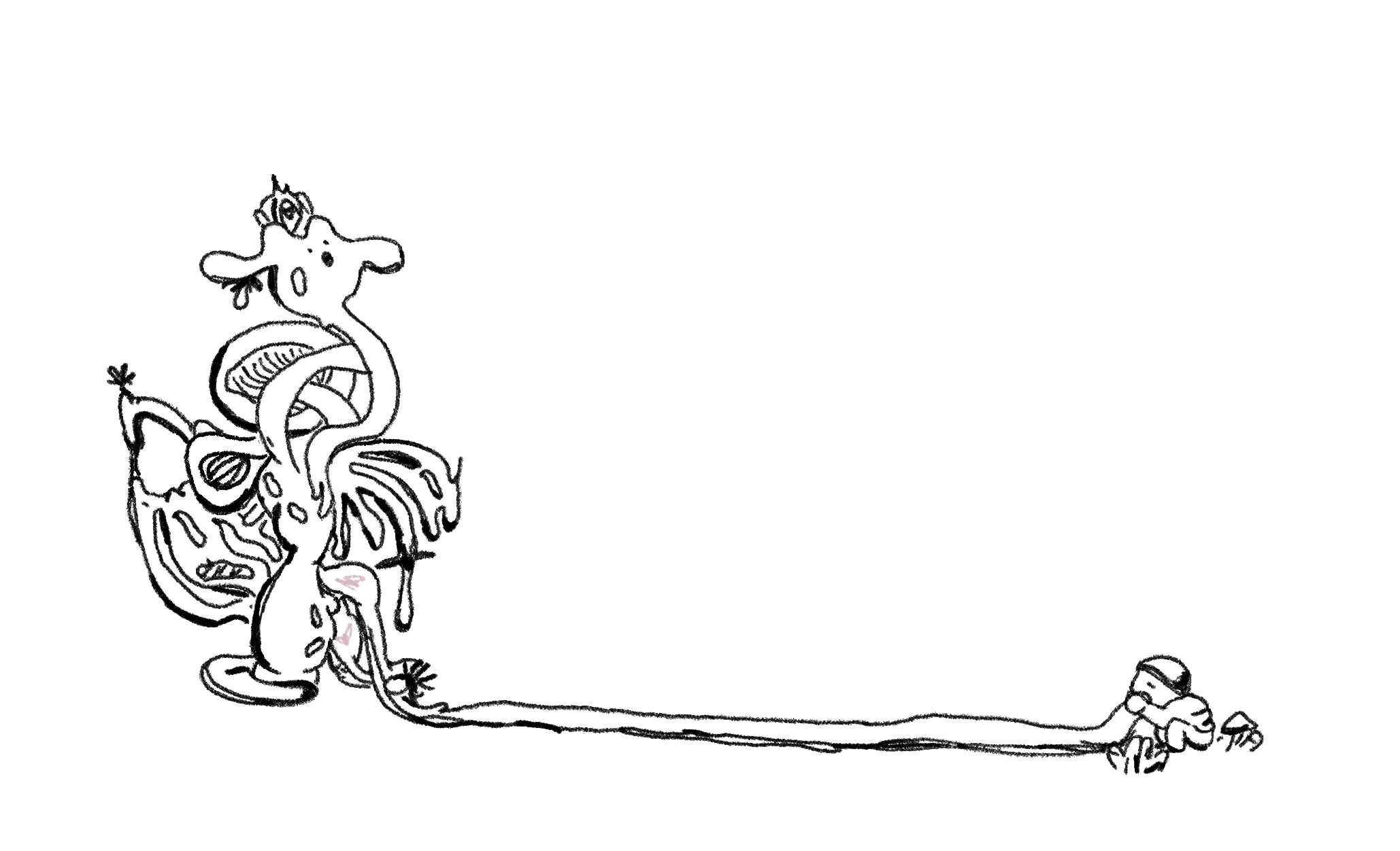 my first anatomical beauty