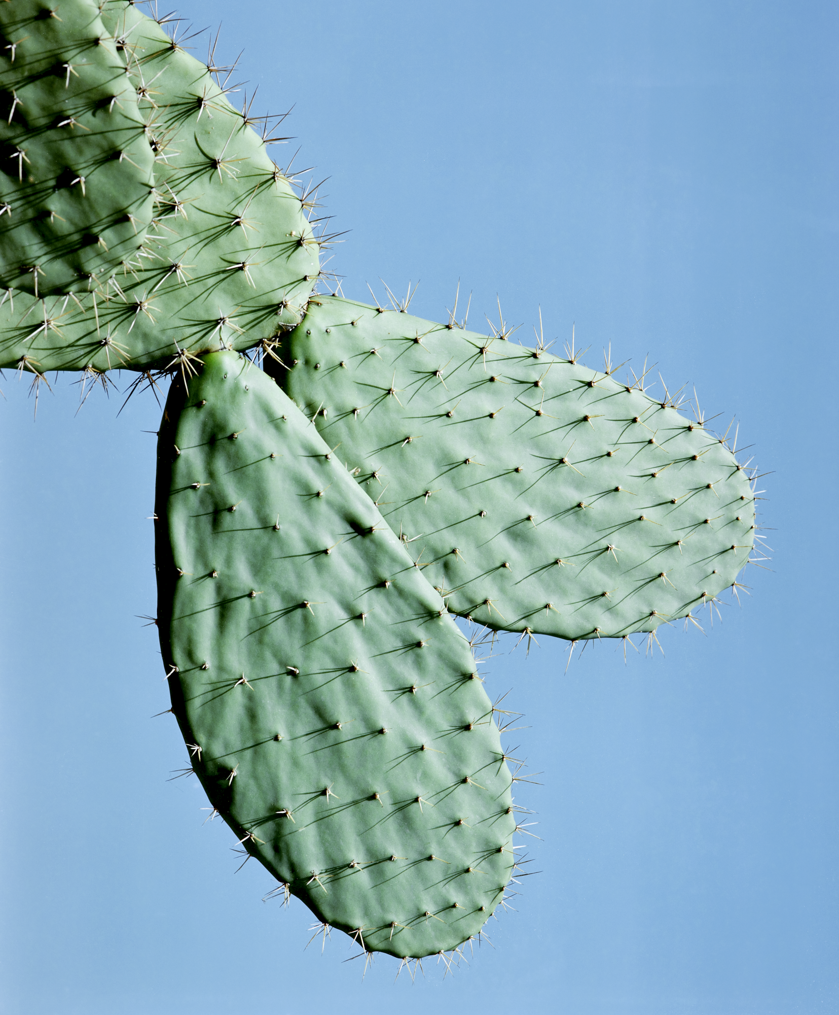 16/35, Untitled 2022