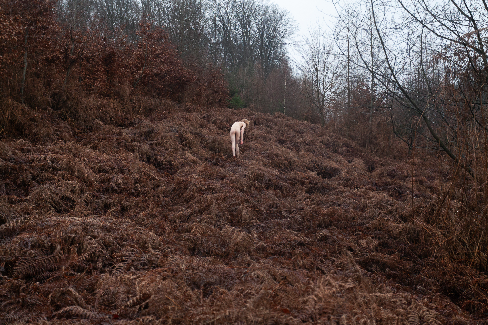 »Auf und Ab«, 2020