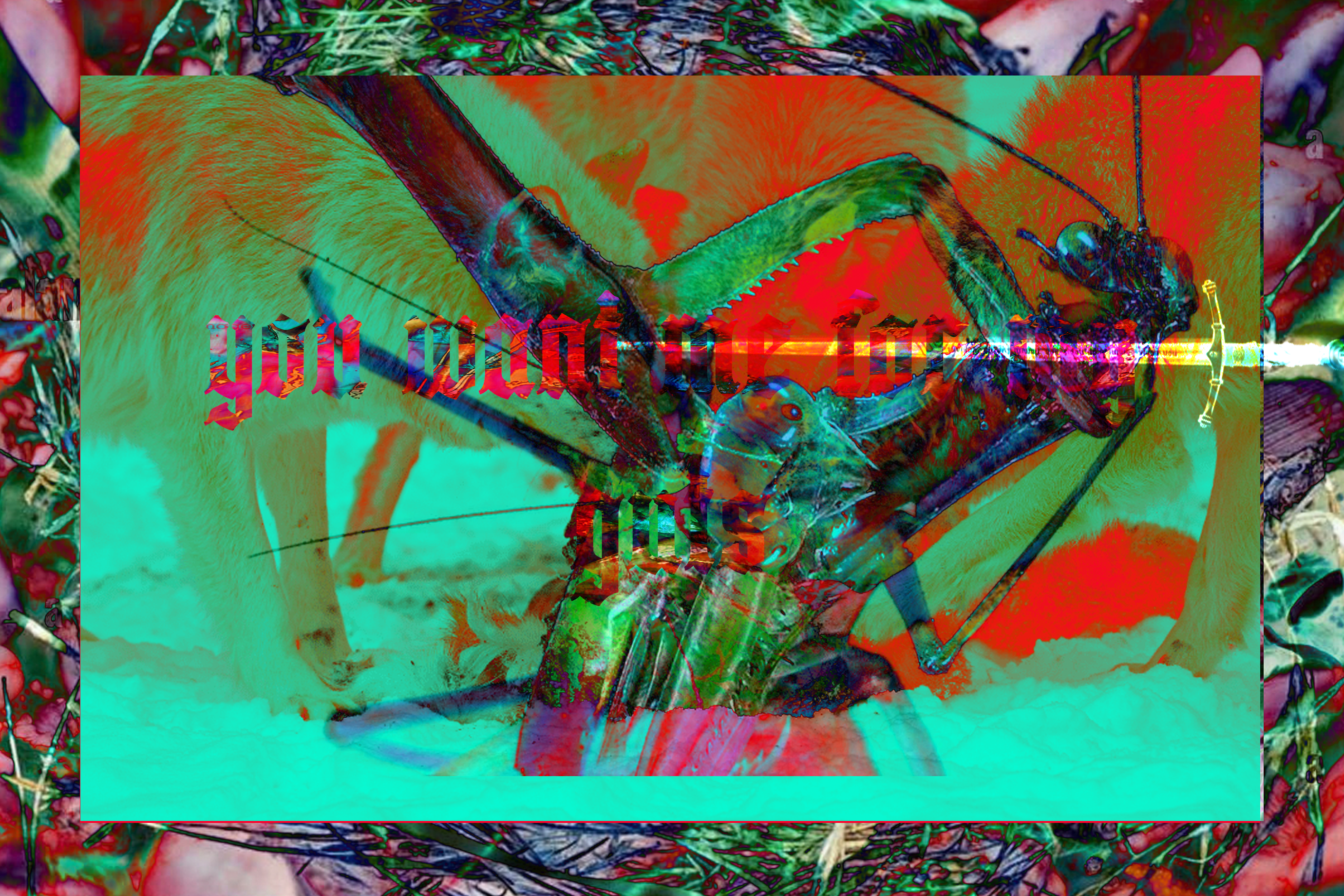 you want me for my guts