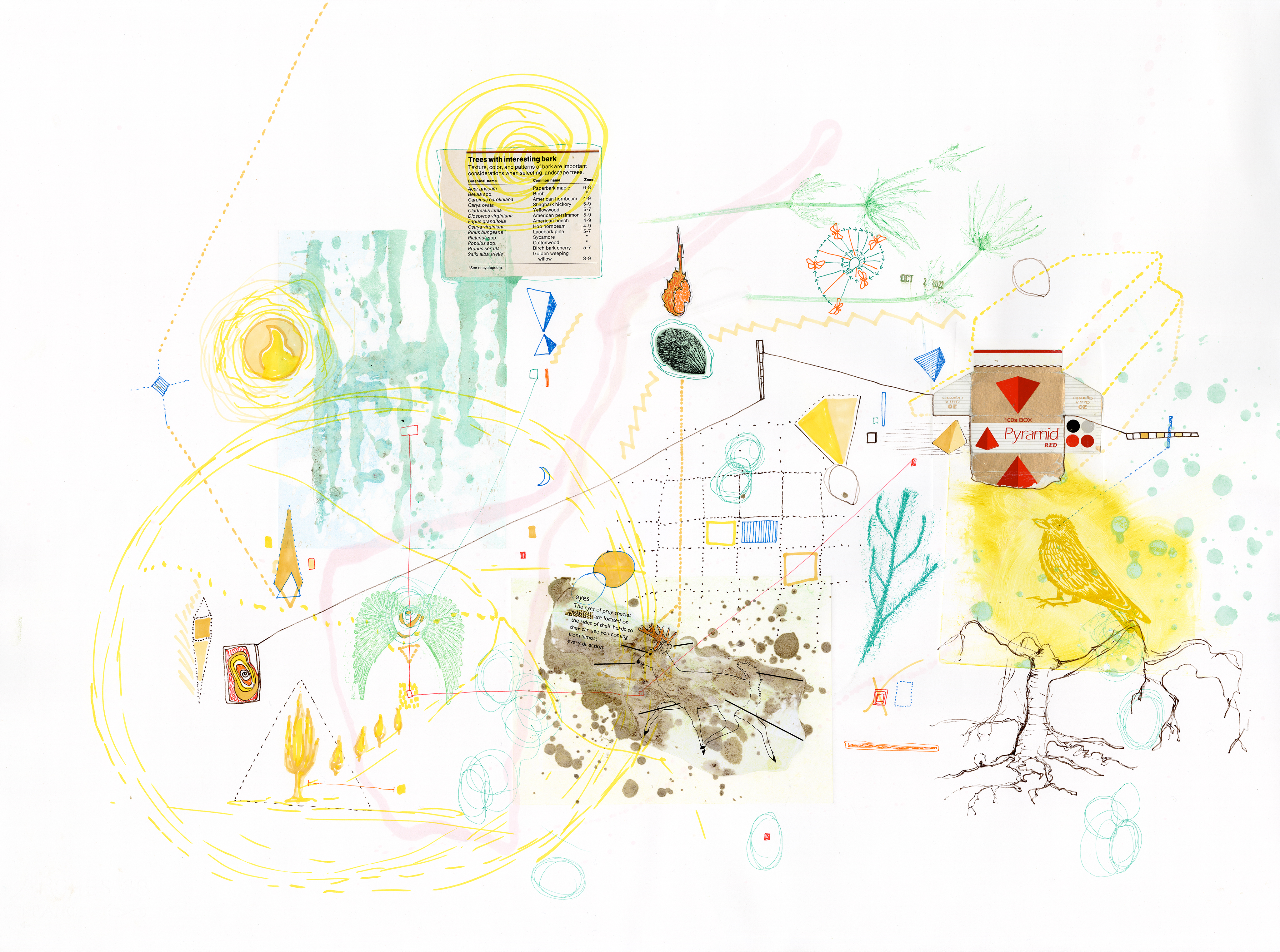 Drawing 50/56 from 56 days at the Dome House 22.5 x 30 inches, ink, Chine-collé, etching and stamps on Arches 88 paper - BUY