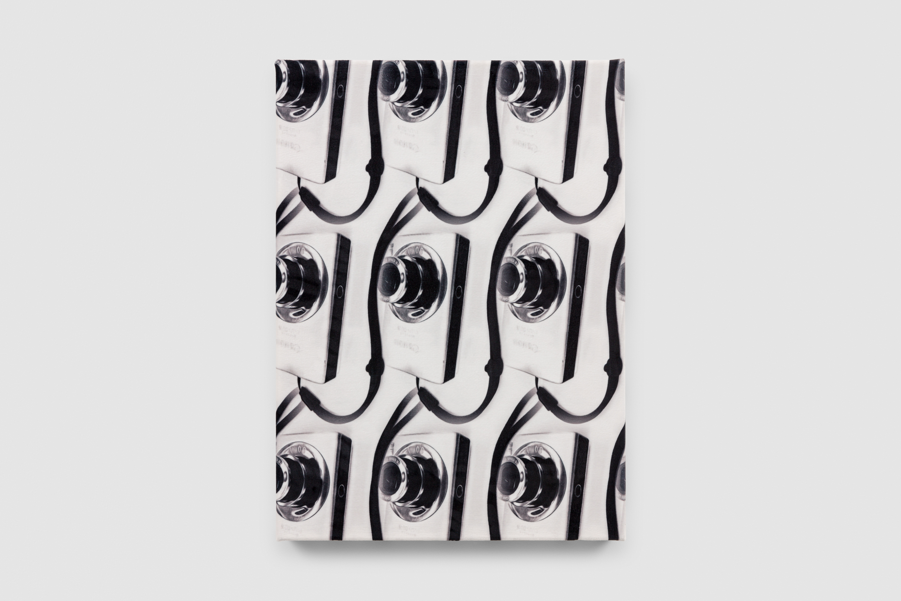 Multiple Cameras, 2024, C-type print on soft velvet 280gsm, 55cm x 40 cm x 5cm, Unique. 