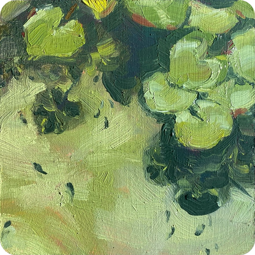 lilypad shadows, 202410 x 10 cm oil on MDF coaster