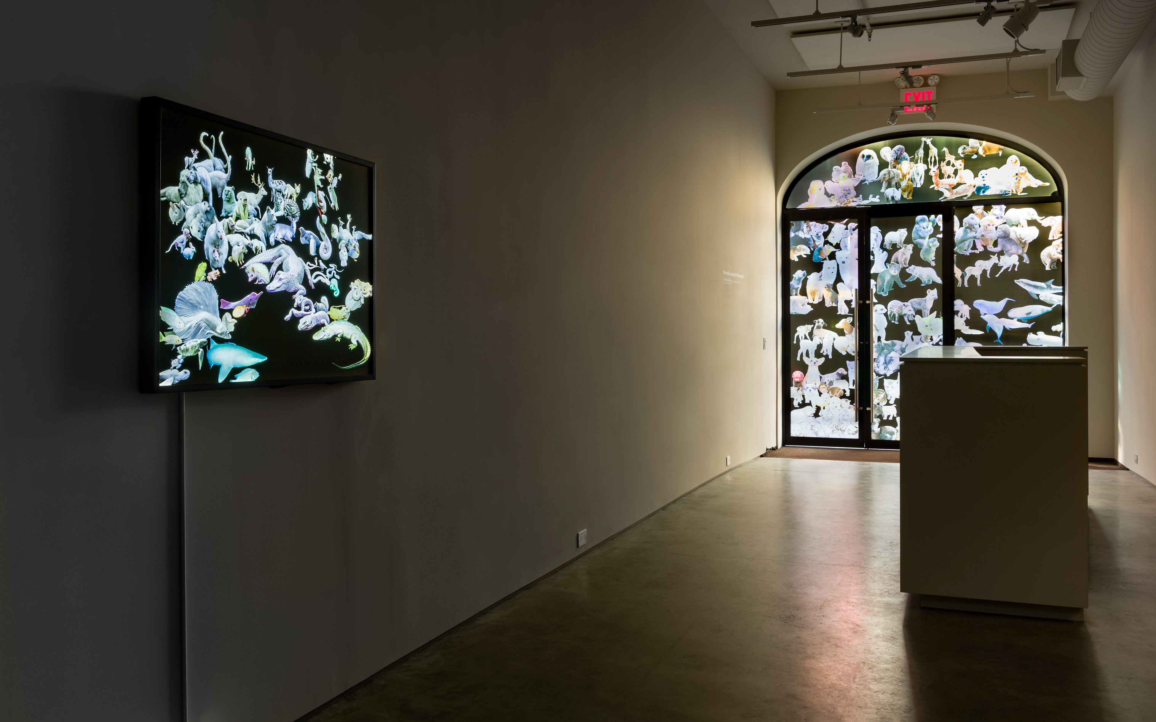 (From left) Pınar Yoldaş, Regnum Alba, 2015, digital duratrans lightbox, 100 x 70 cm. Pınar Yoldaş, Young Organism, 2019, digital print on vinyl, 110 x 120 inches. 