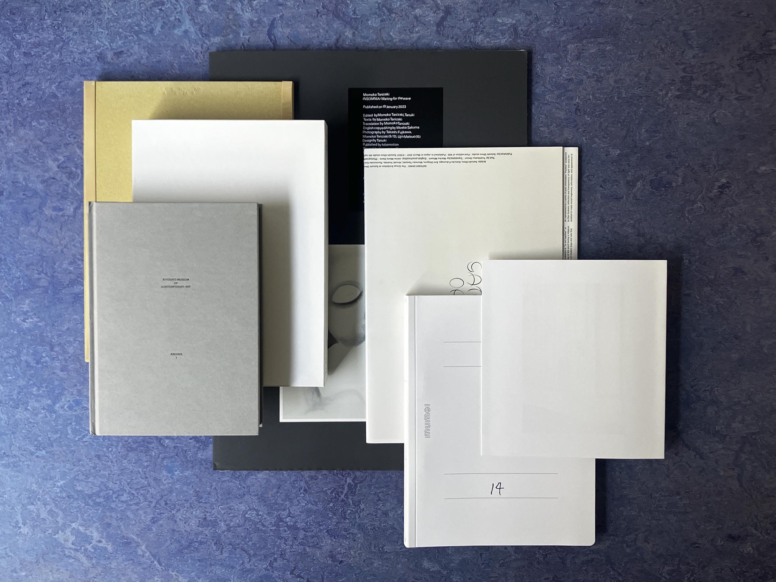 Photos: Tanuki at House of Books