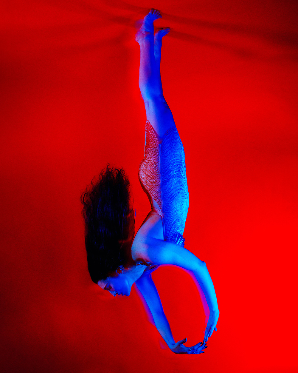 Alexa Roosevelt, 2024