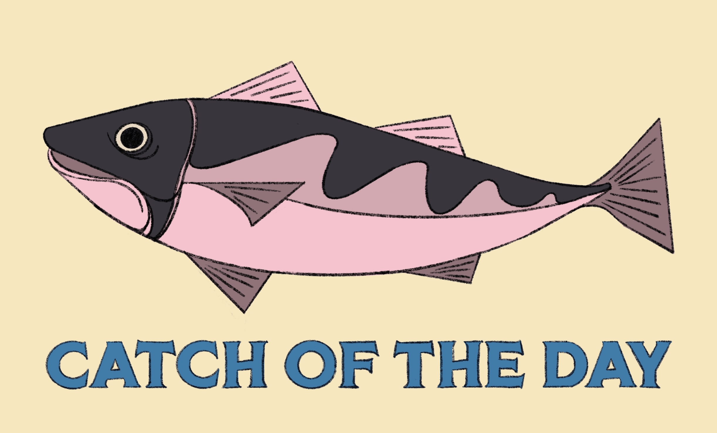 ViewFinder, T-shirt Collaboration