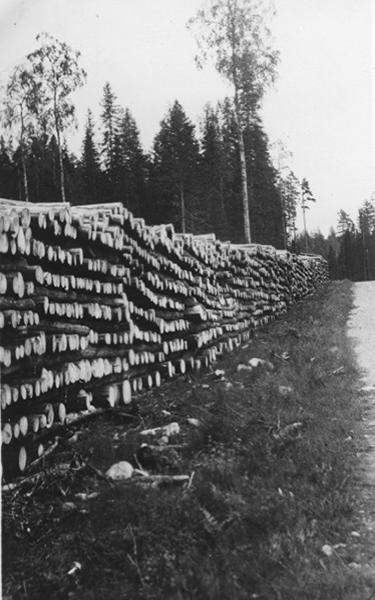 Metsäpaloalueelta hakattua puutavaraa ristikolla tien vieressä. "Kurun paloalueen puutavaraa." (alkuperäinen teksti kuvan takana). by Perälä, I. - 1934 - Lusto - The Finnish Forest Museum, Finland - CC BY.