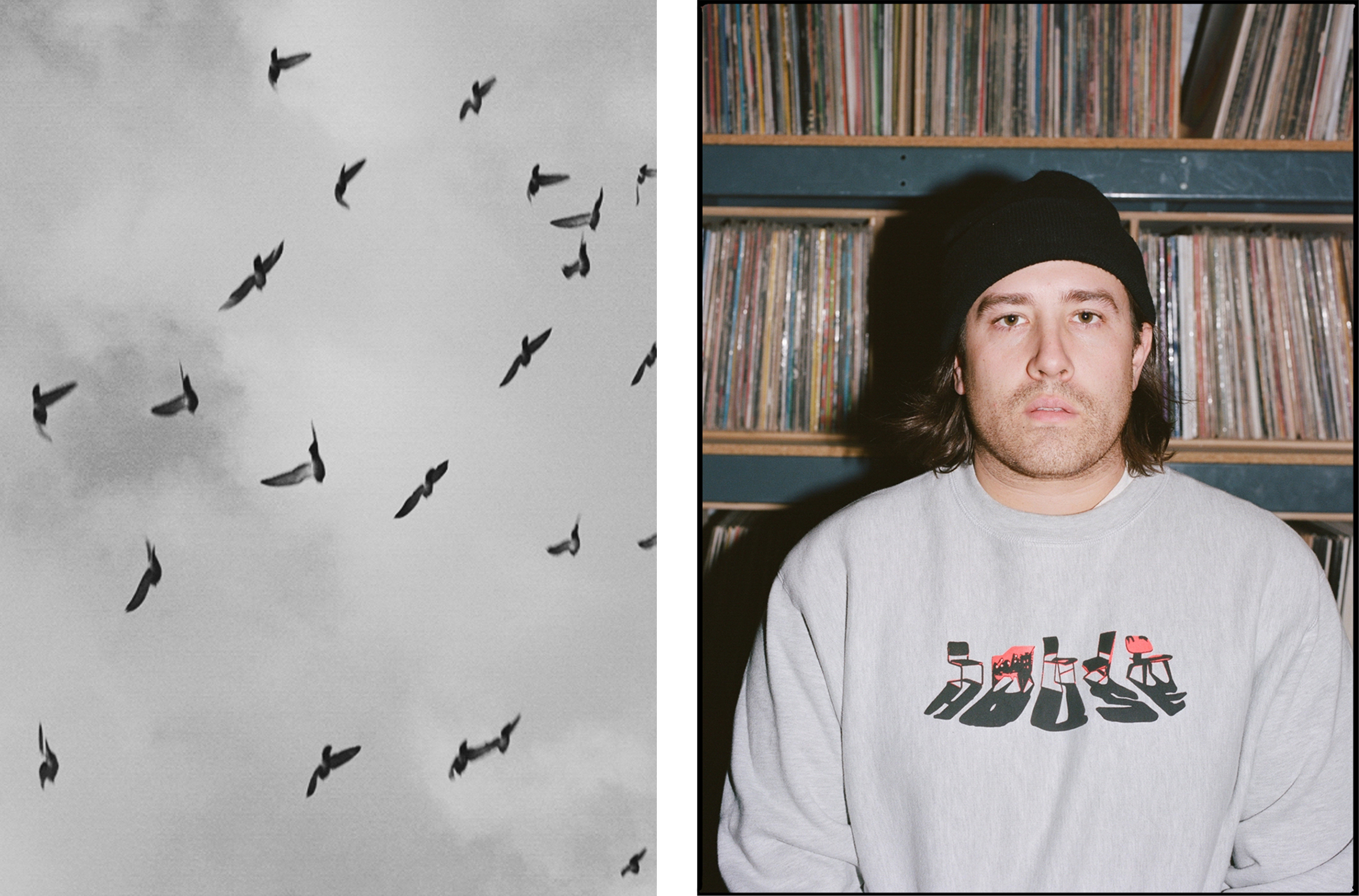 Pigeons & Alex Dondero, LQQK Studio, New York, 2020