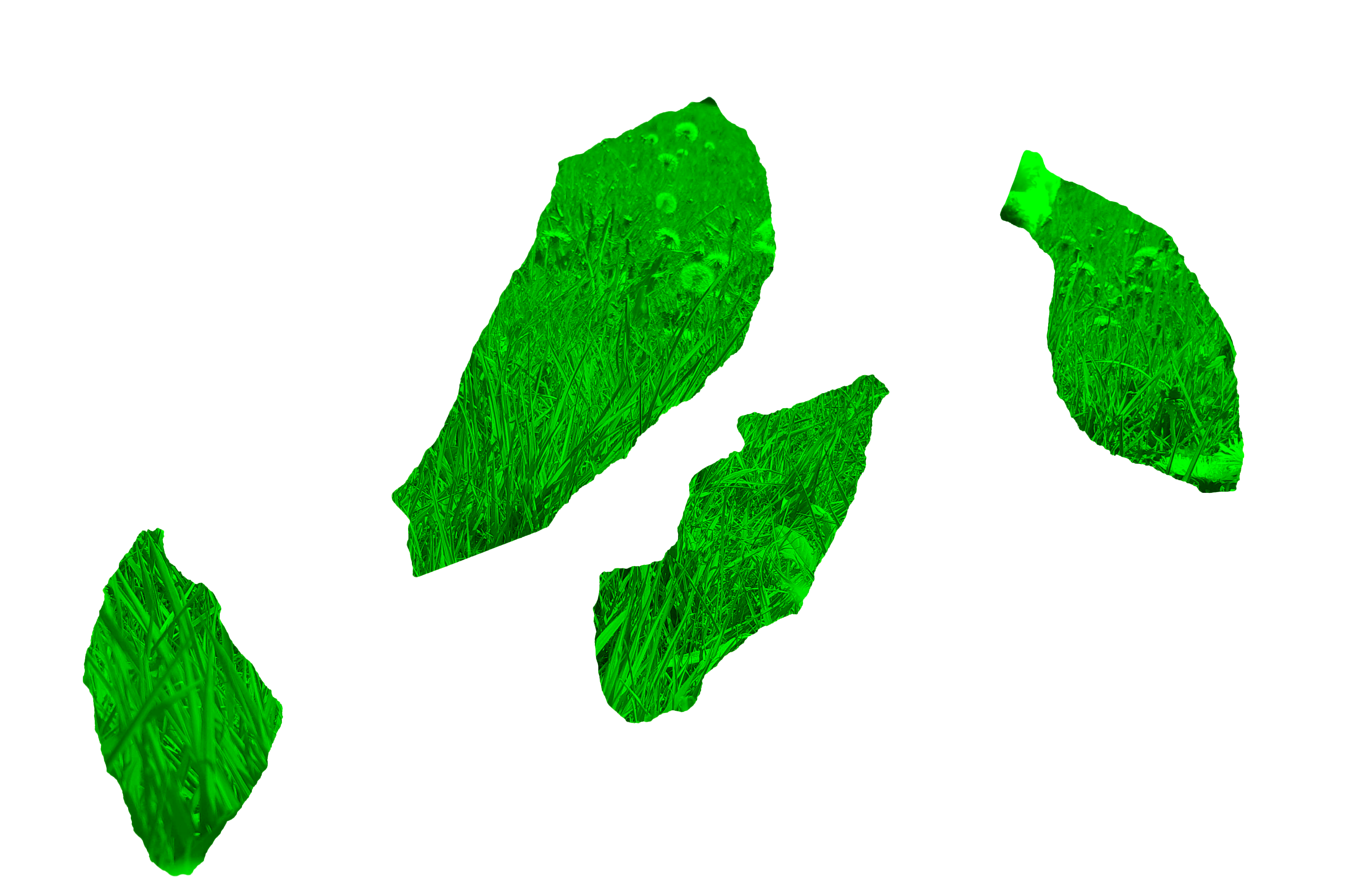 Original image.