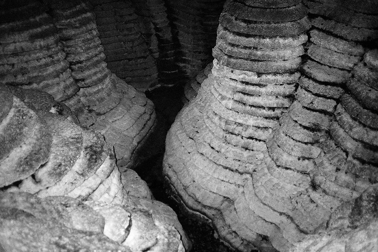 RESEARCH AND PERCEPTIONS