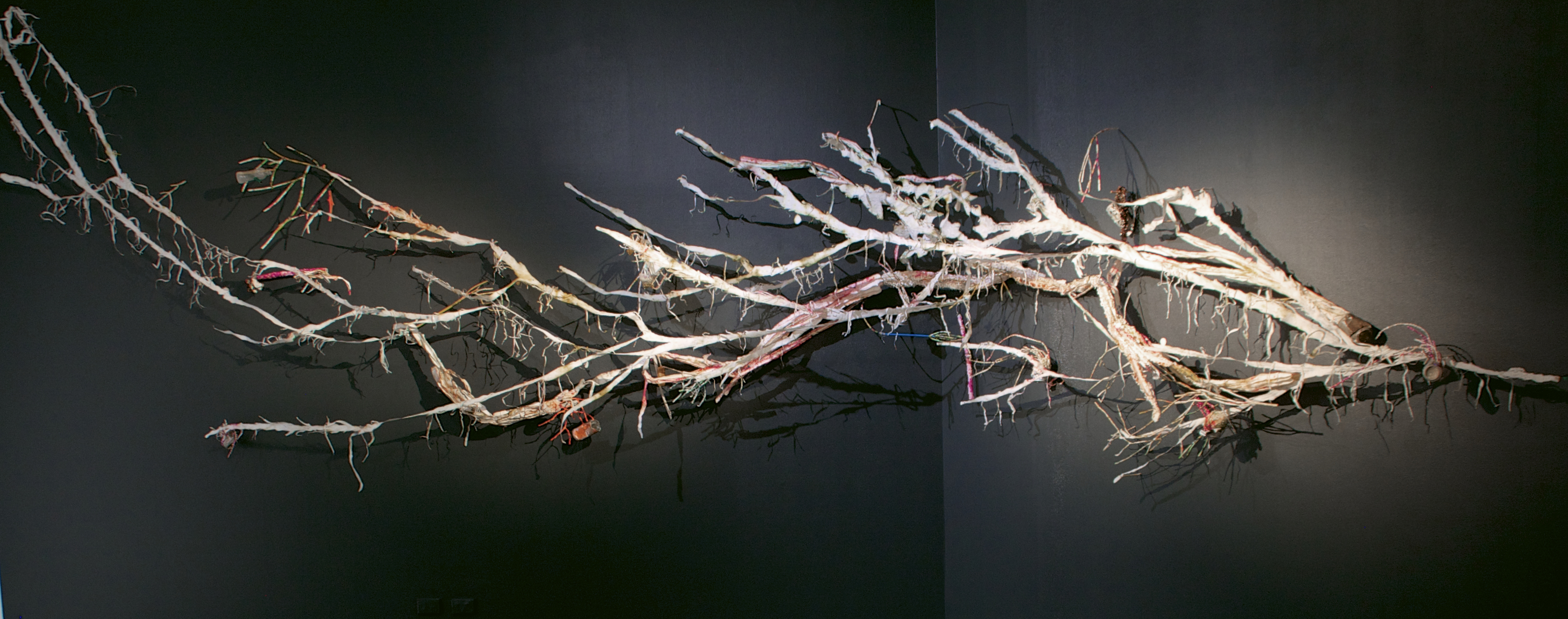 Runoff 2014, as part of group exhibition at AEAF curated by André Lawrence 135th Meridian East, images by Alex Lofting.